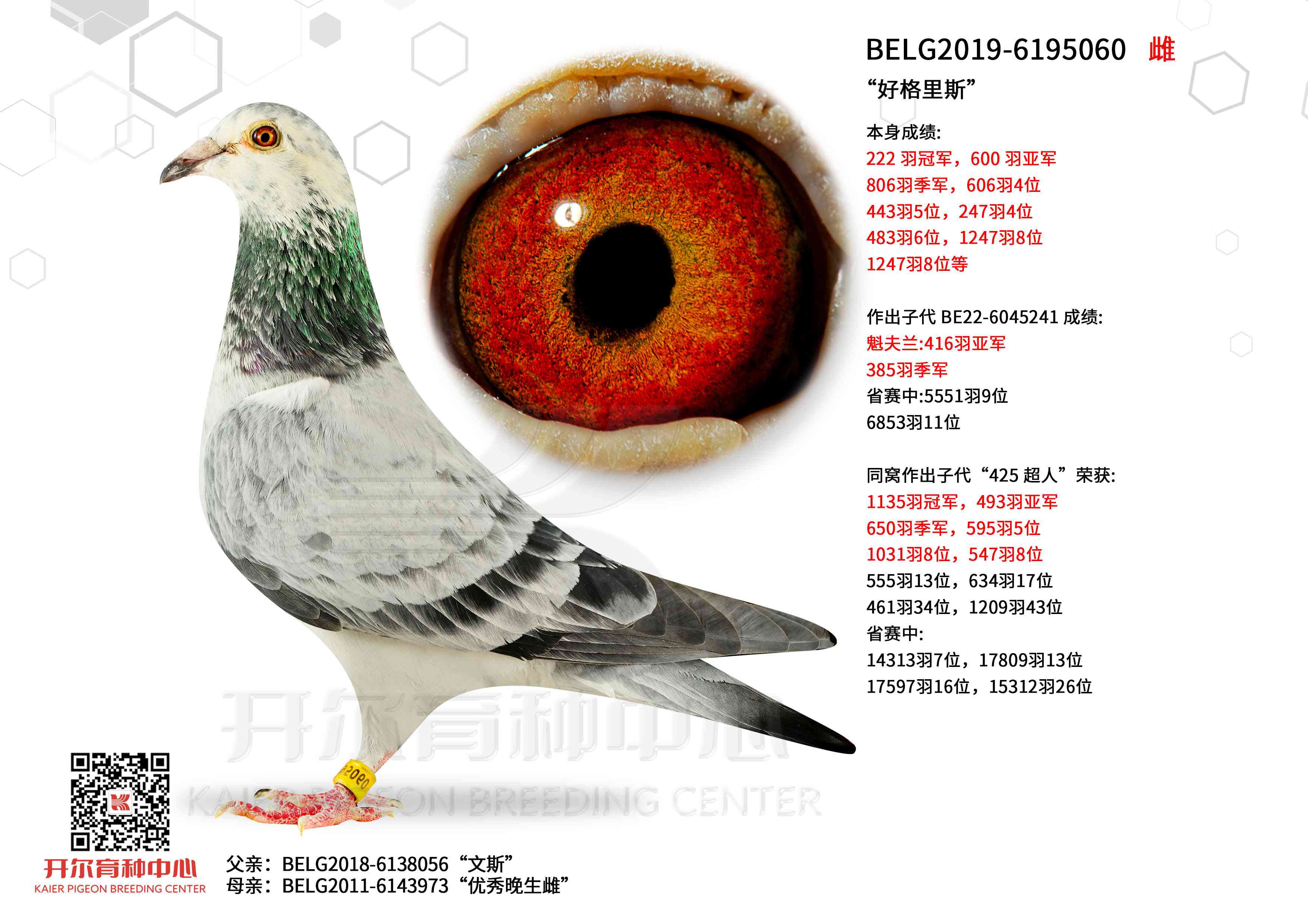 ���ø���˹��