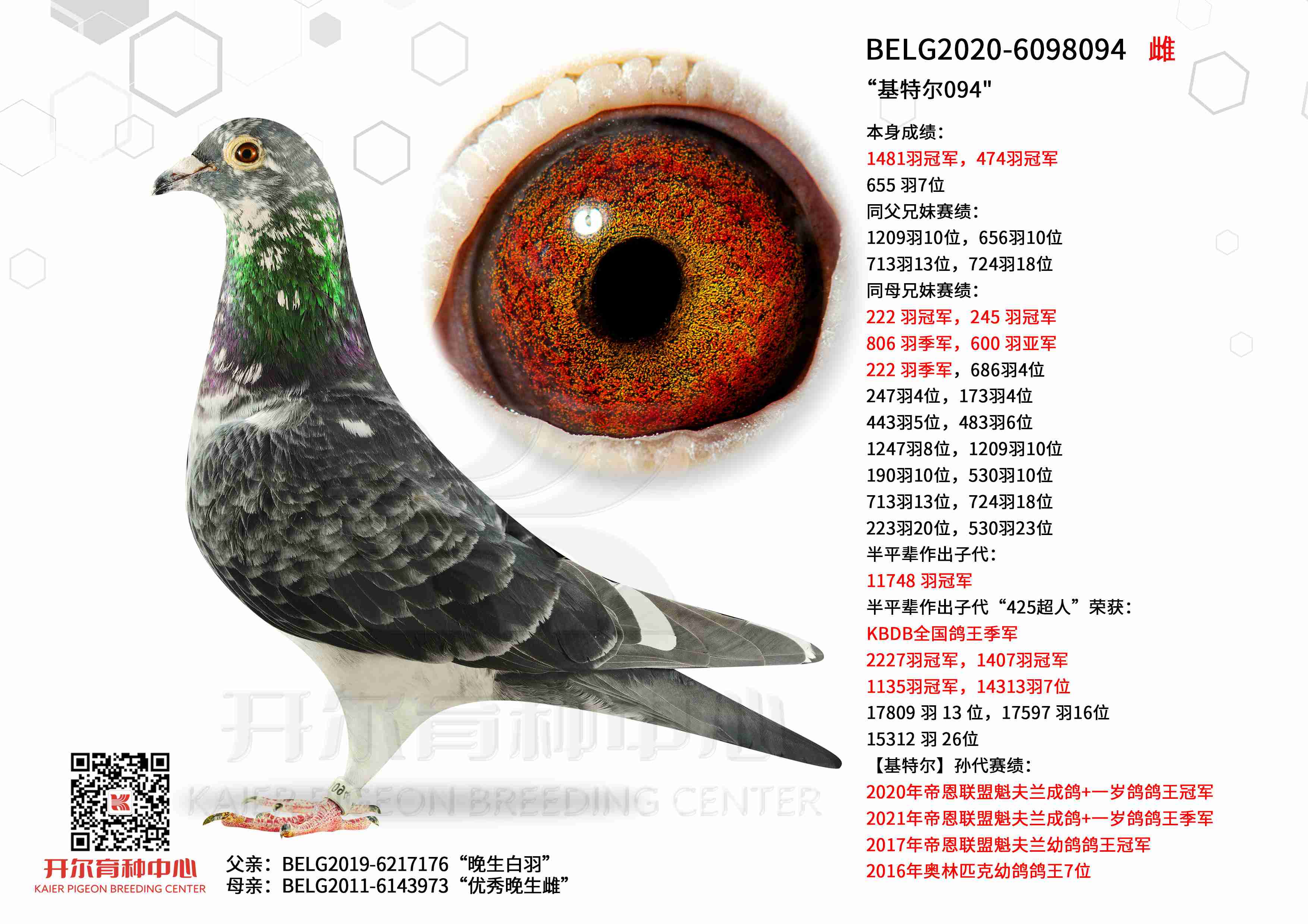 ���ض�094�����Ի��ض�ֱ��