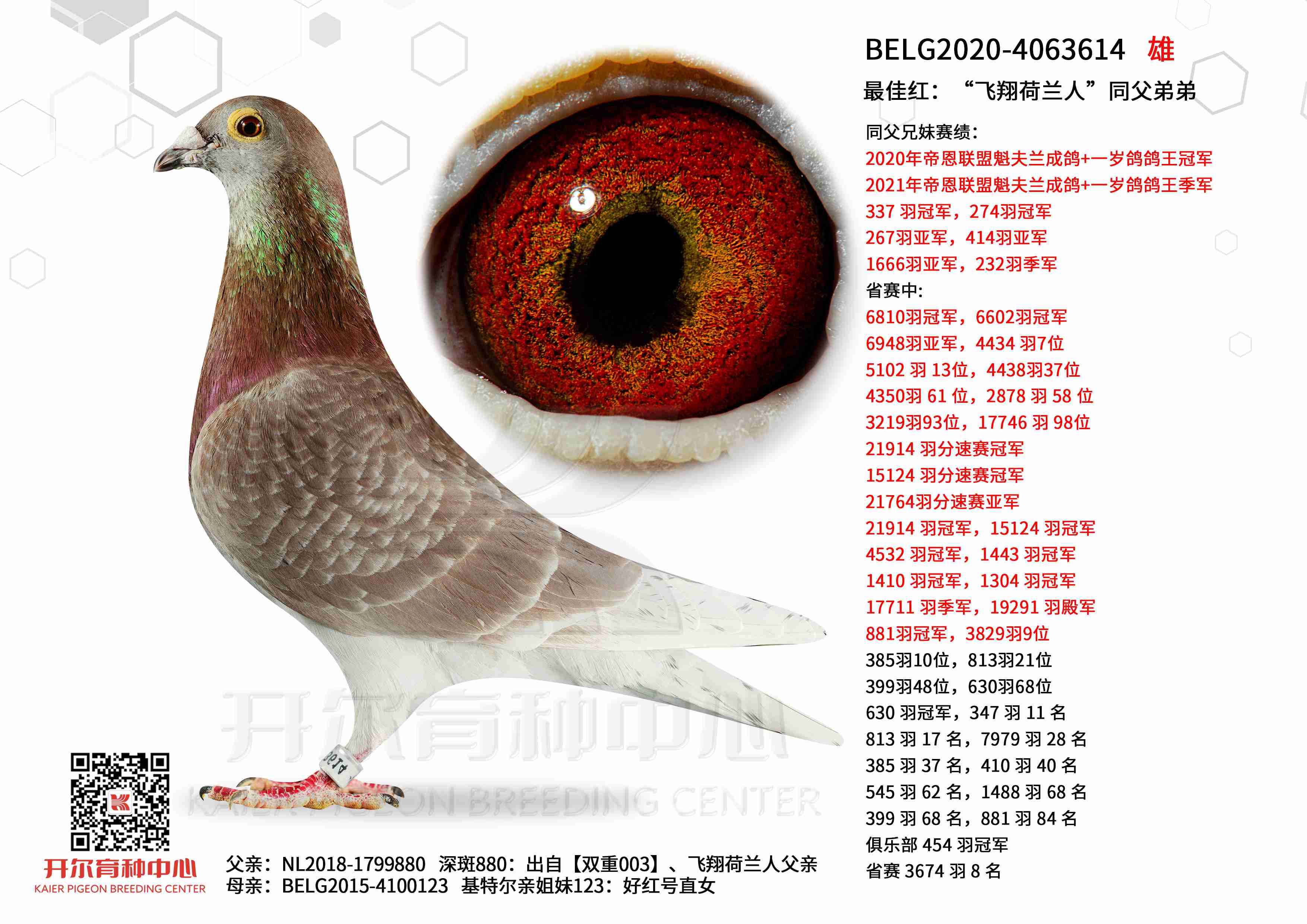 ��Ѻ죺����������ˡ�ͬ���ܵ�