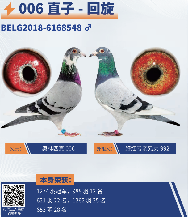 ������006ֱ��