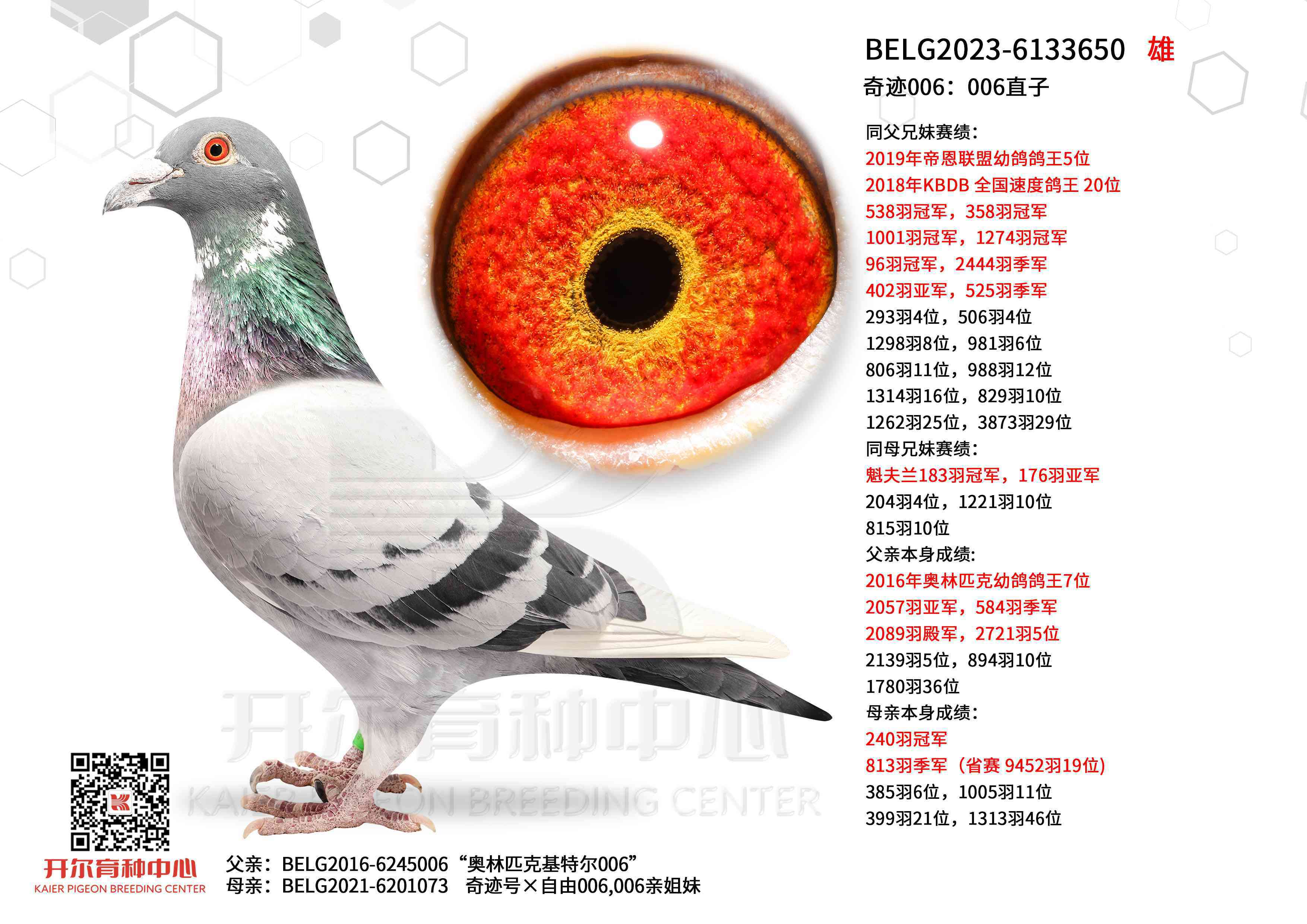 �漣006��006ֱ��