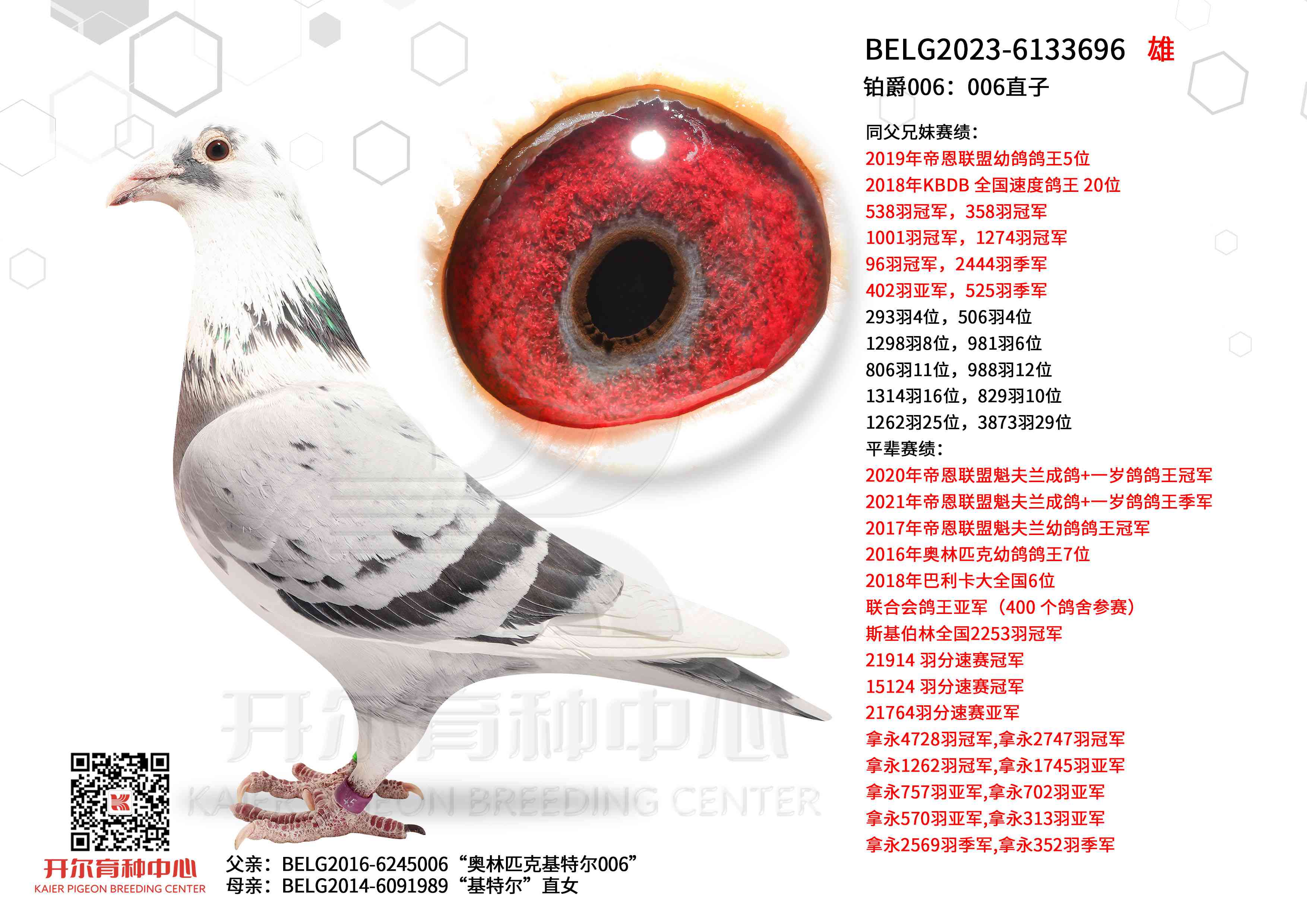 ����006��006ֱ��