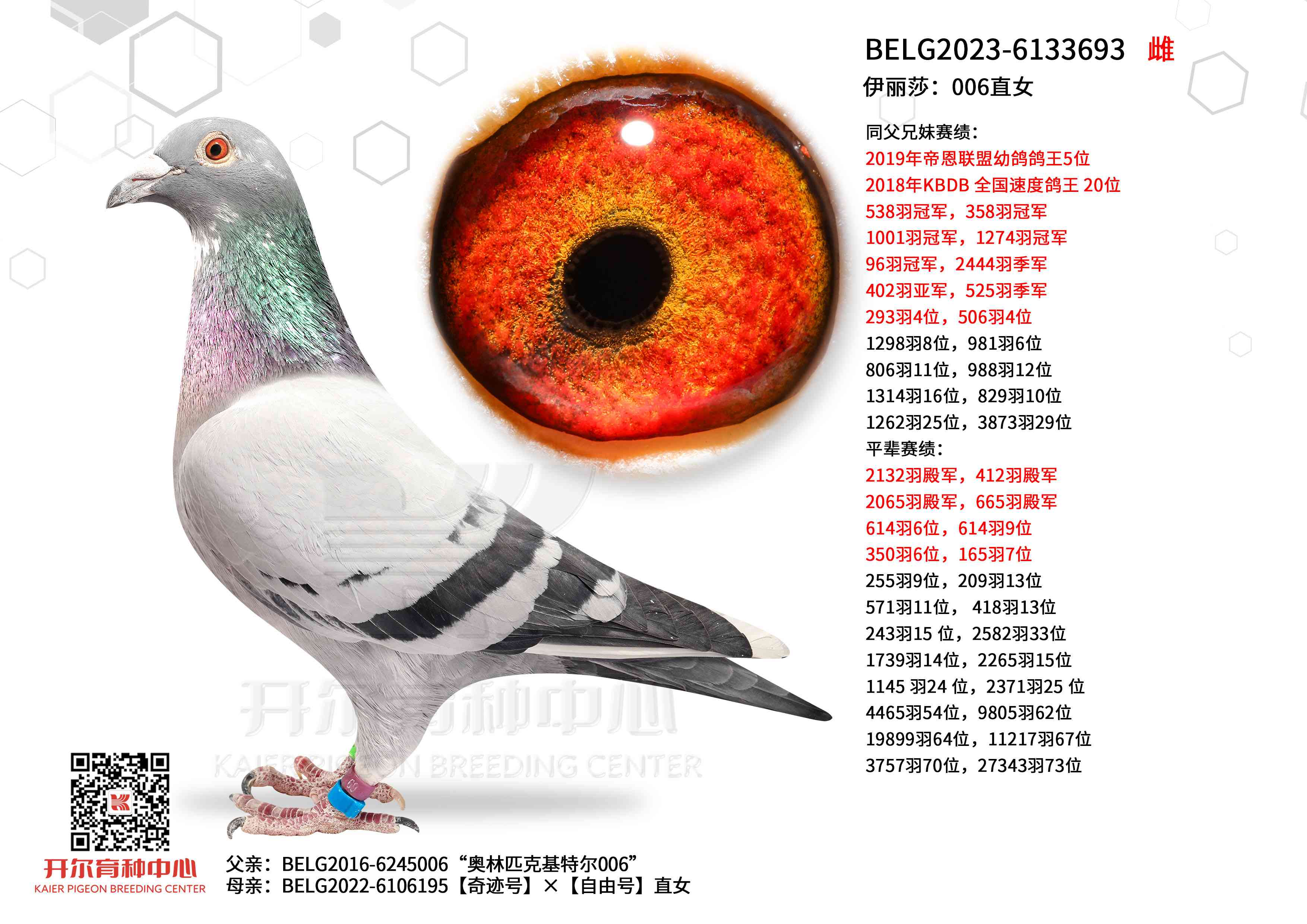 ����ɯ��006ֱŮ