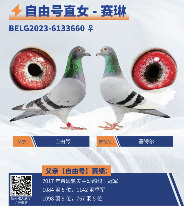 ���գ����ɺ�ֱŮ