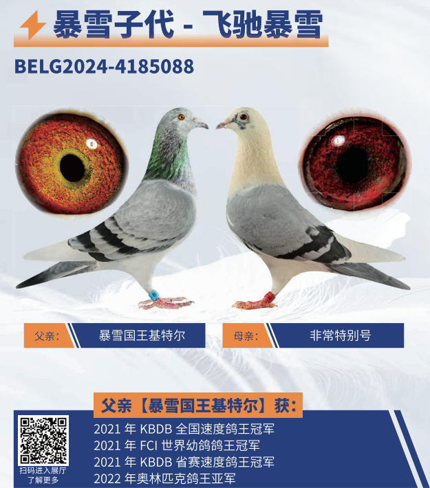 �ɳ۱�ѩ����ѩֱ��