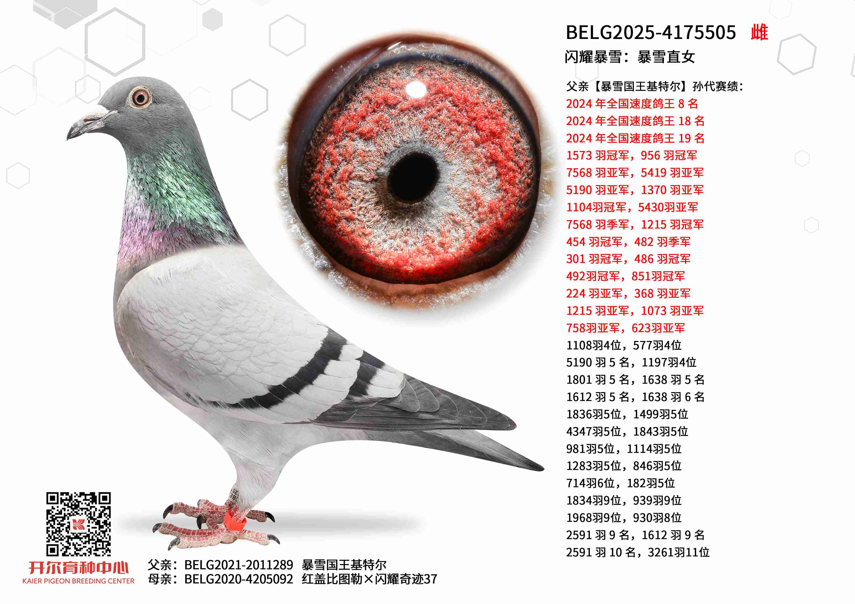 ��ҫ��ѩ����ѩֱŮ