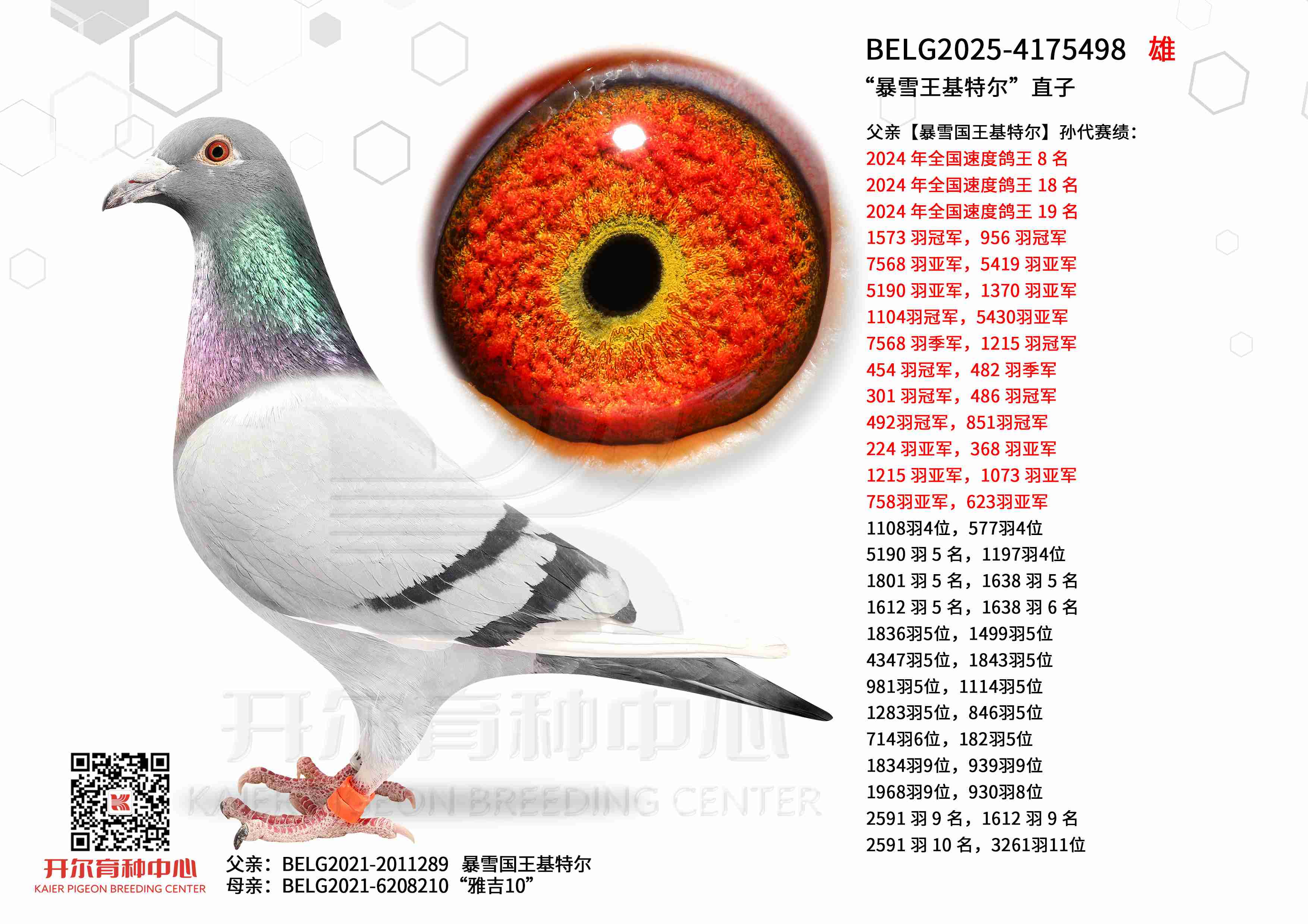 ����ѩ�����ض���ֱ��