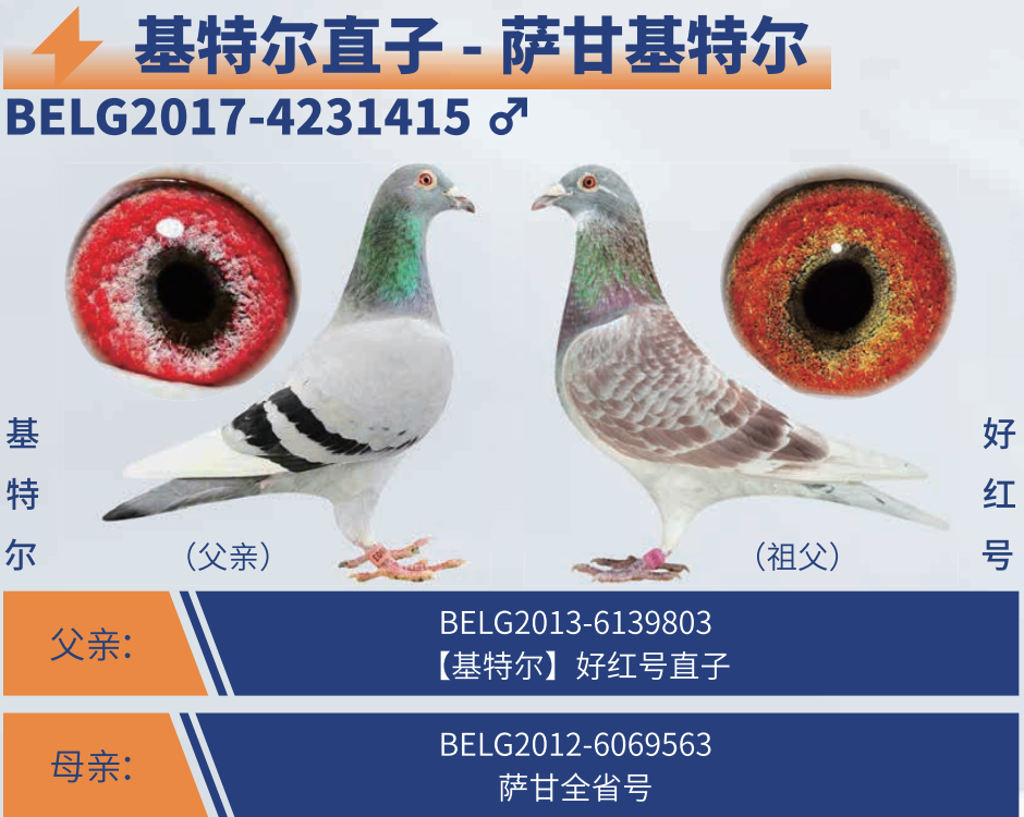 ���ʻ��ض������ض�ֱ��