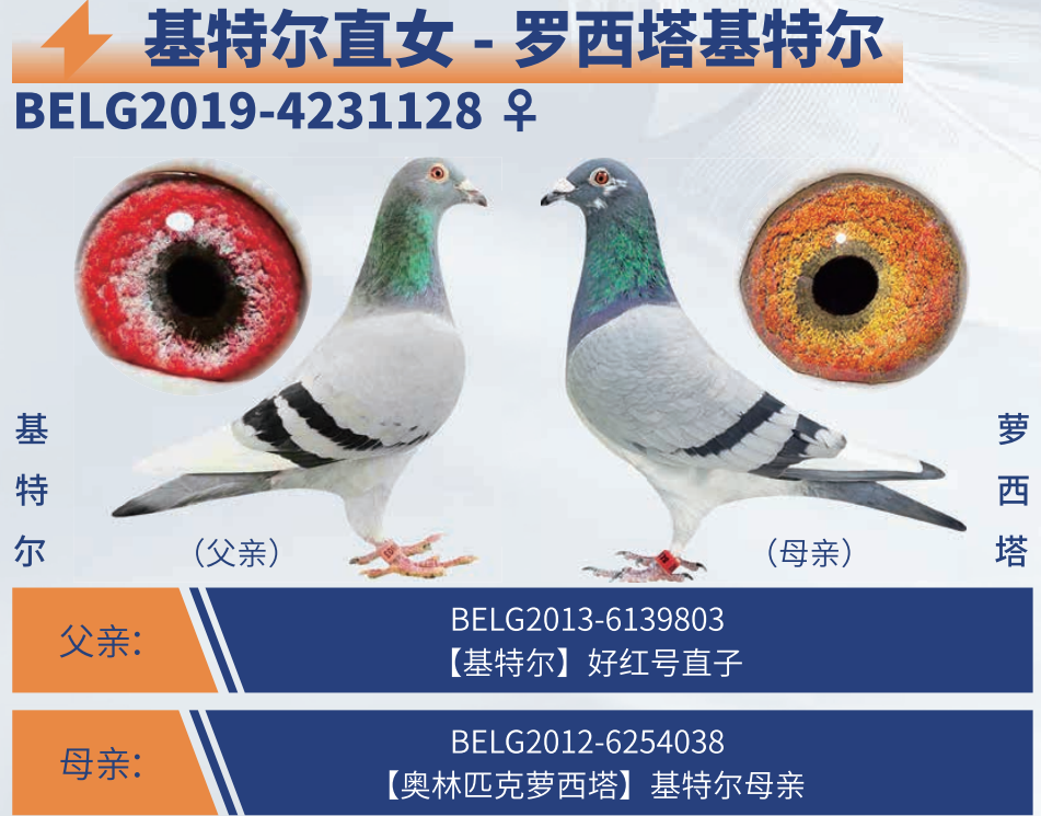 ���������ض������ض�ֱŮ