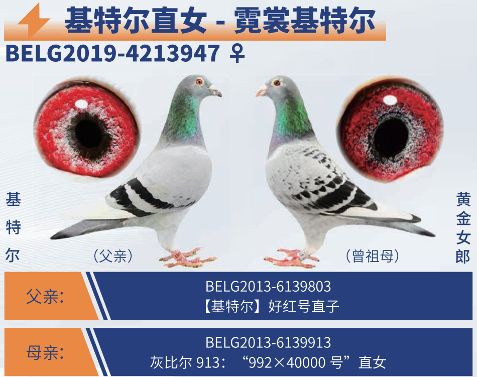 ���ѻ��ض������ض�ֱŮ