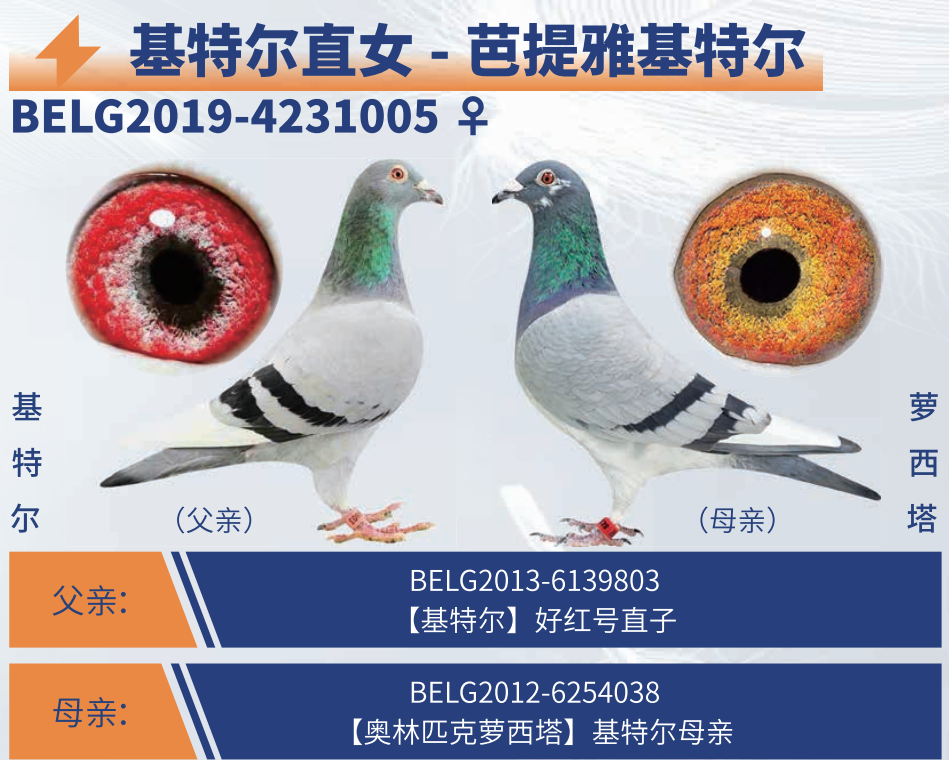 �����Ż��ض������ض�ֱŮ