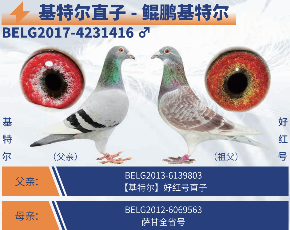 �������ض������ض�ֱ��