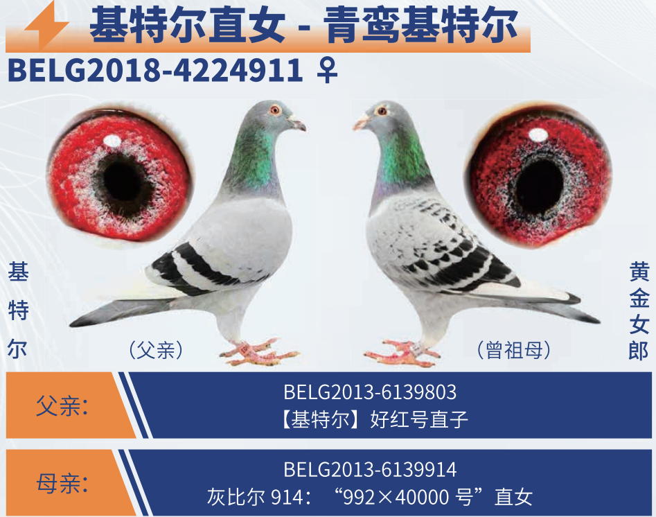 �����ض������ض�ֱŮ