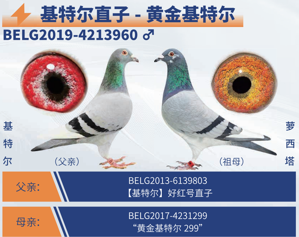 �ƽ���ض������ض�ֱ��