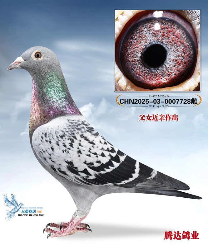 �����ݹ����Ĺظ���4����ֱŮ728