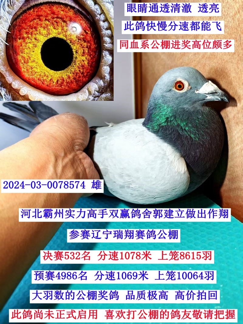 ���ָ���ԡ�