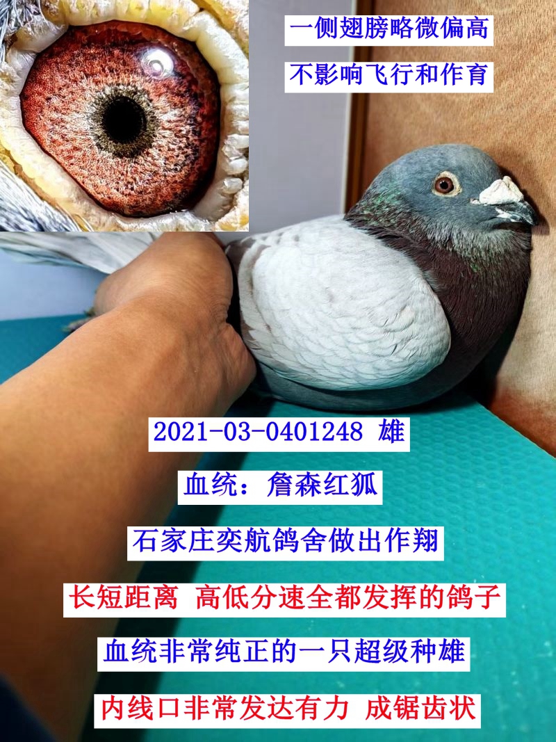 ��ǧ����127����