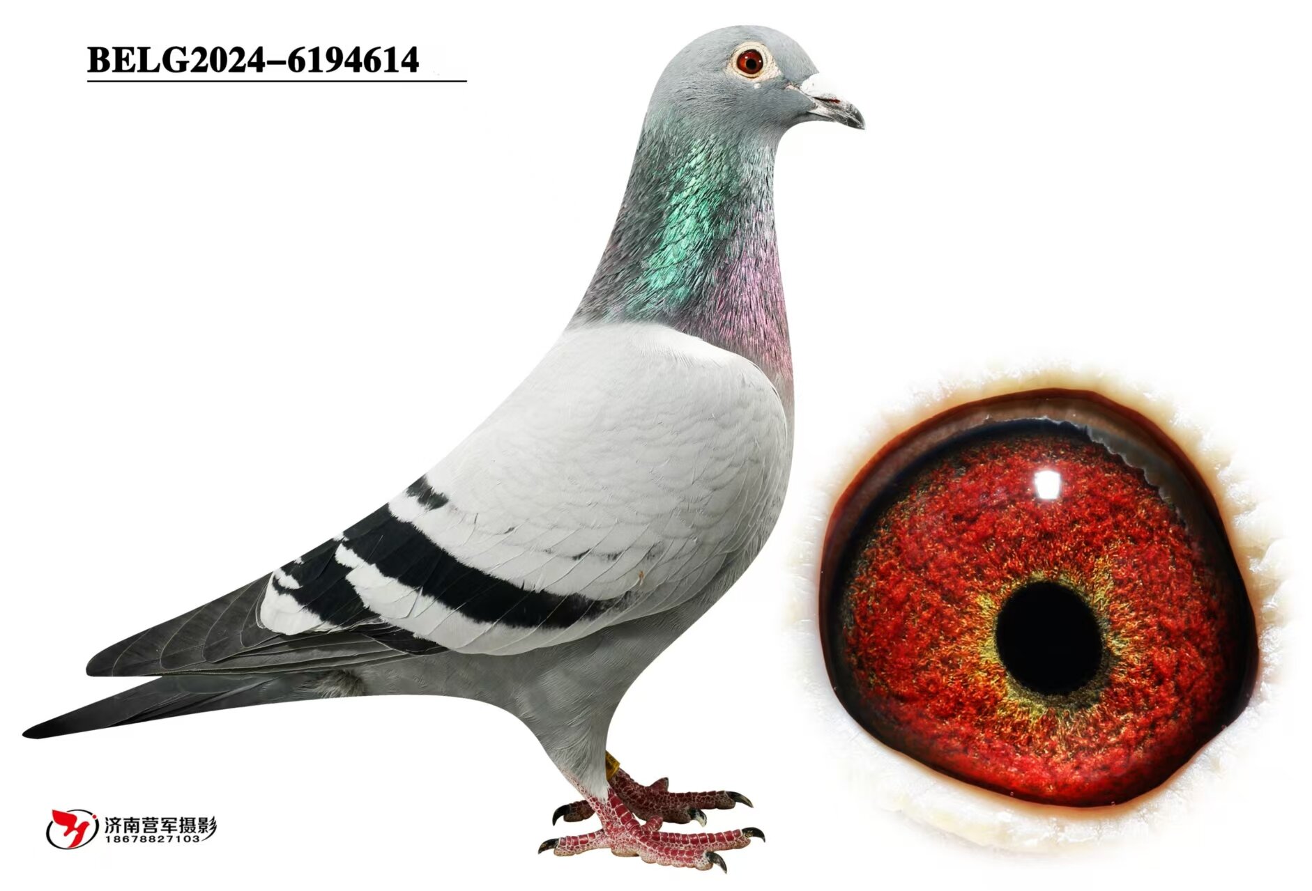 ���ǡ�������