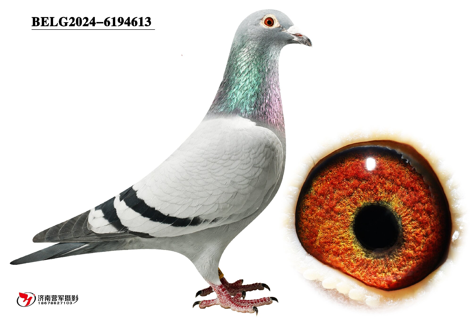 ���ǡ�������