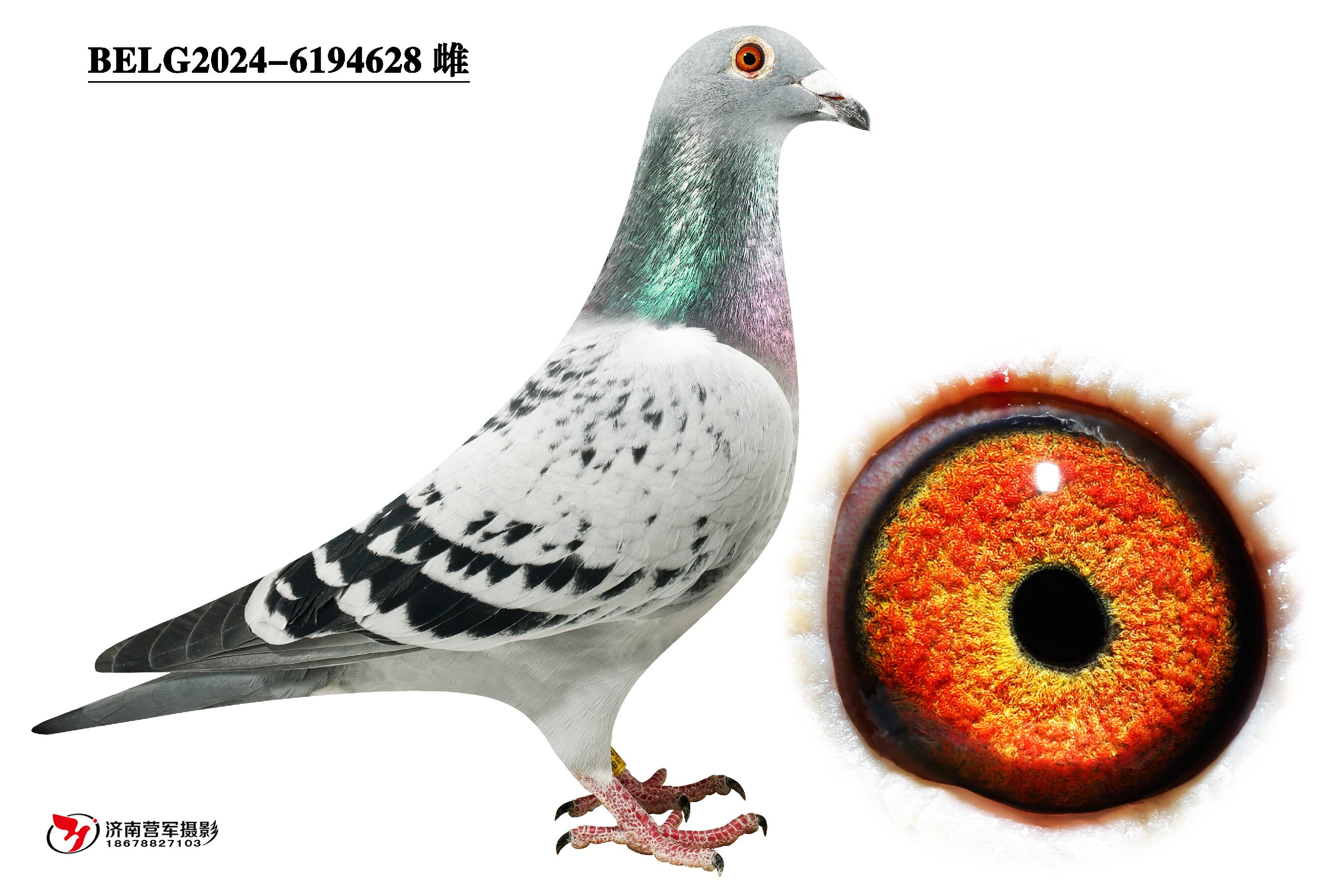 ���ǡ�������