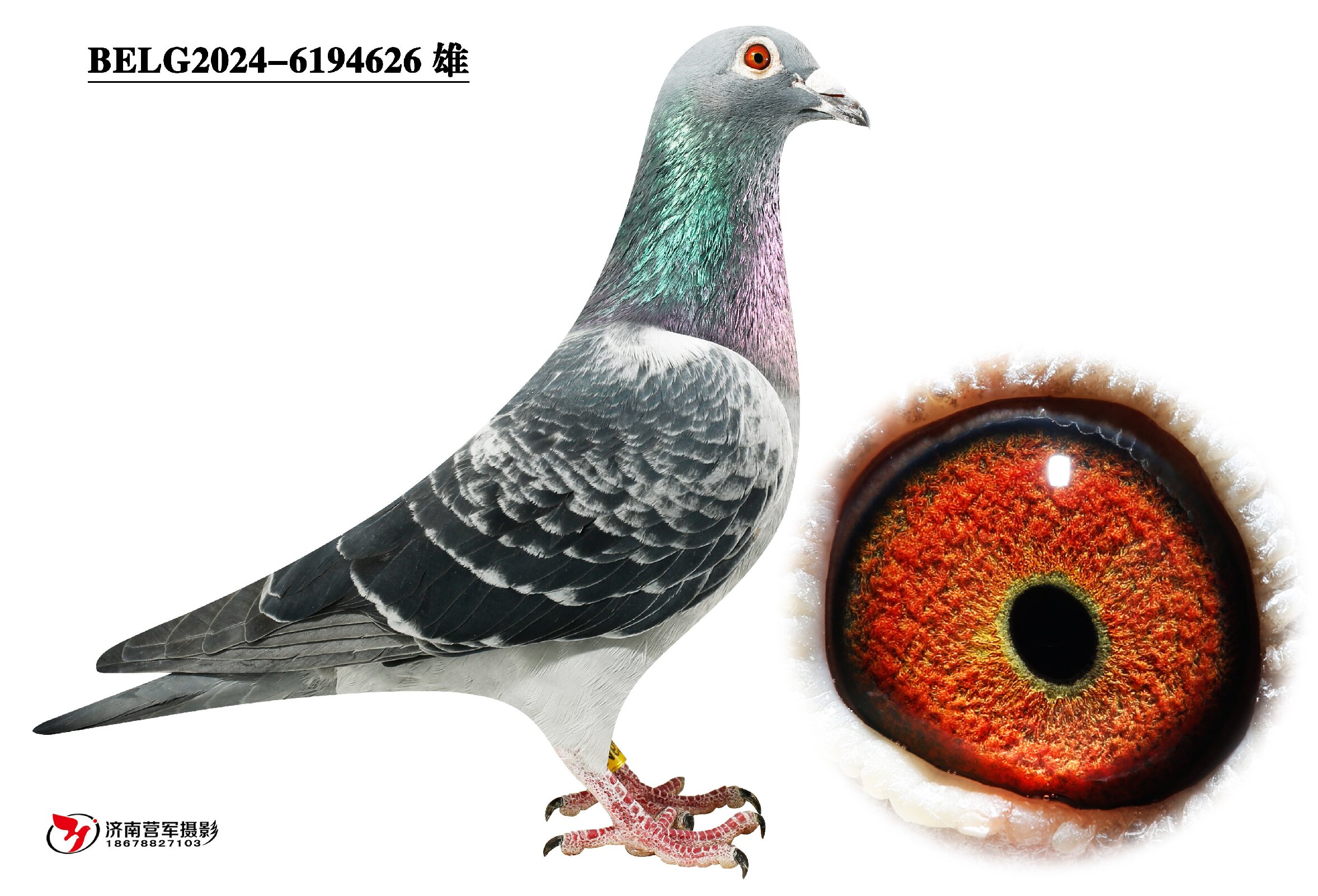 ���ǡ�������