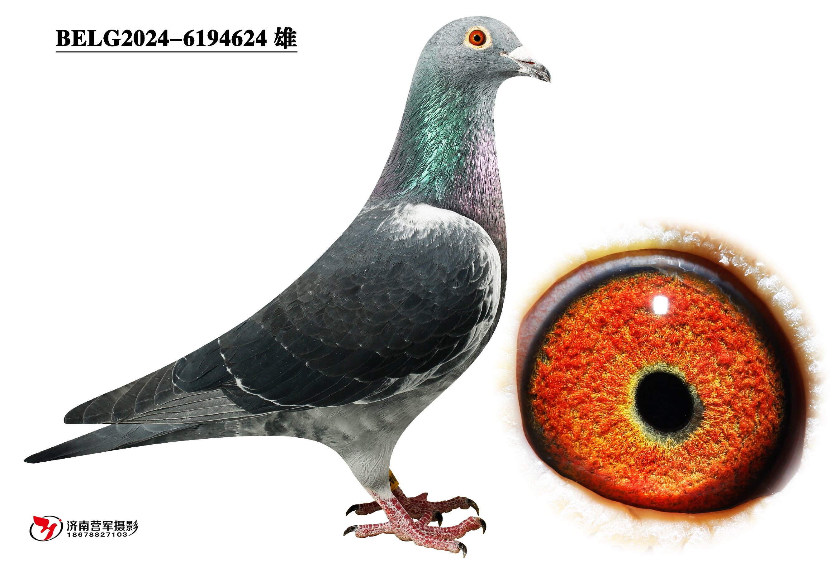 ���ǡ�������