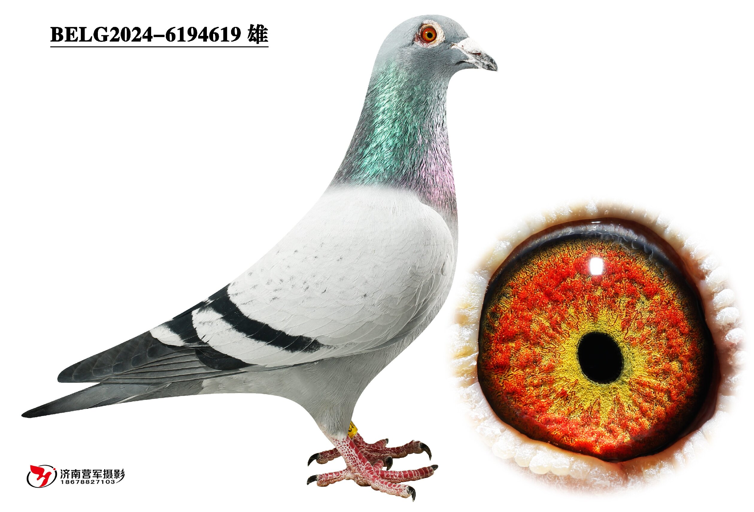 ���ǡ�������