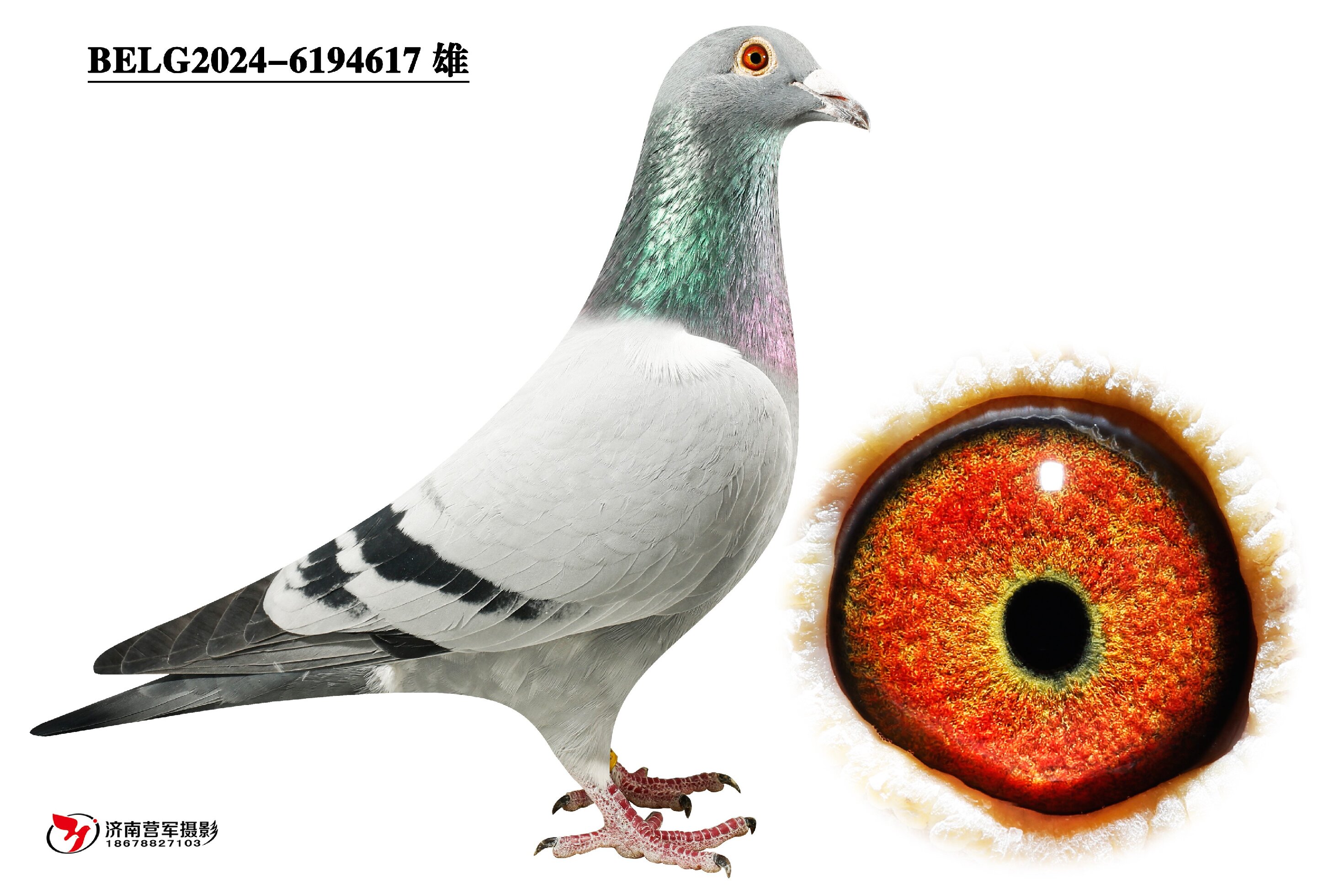 ���ǡ�������