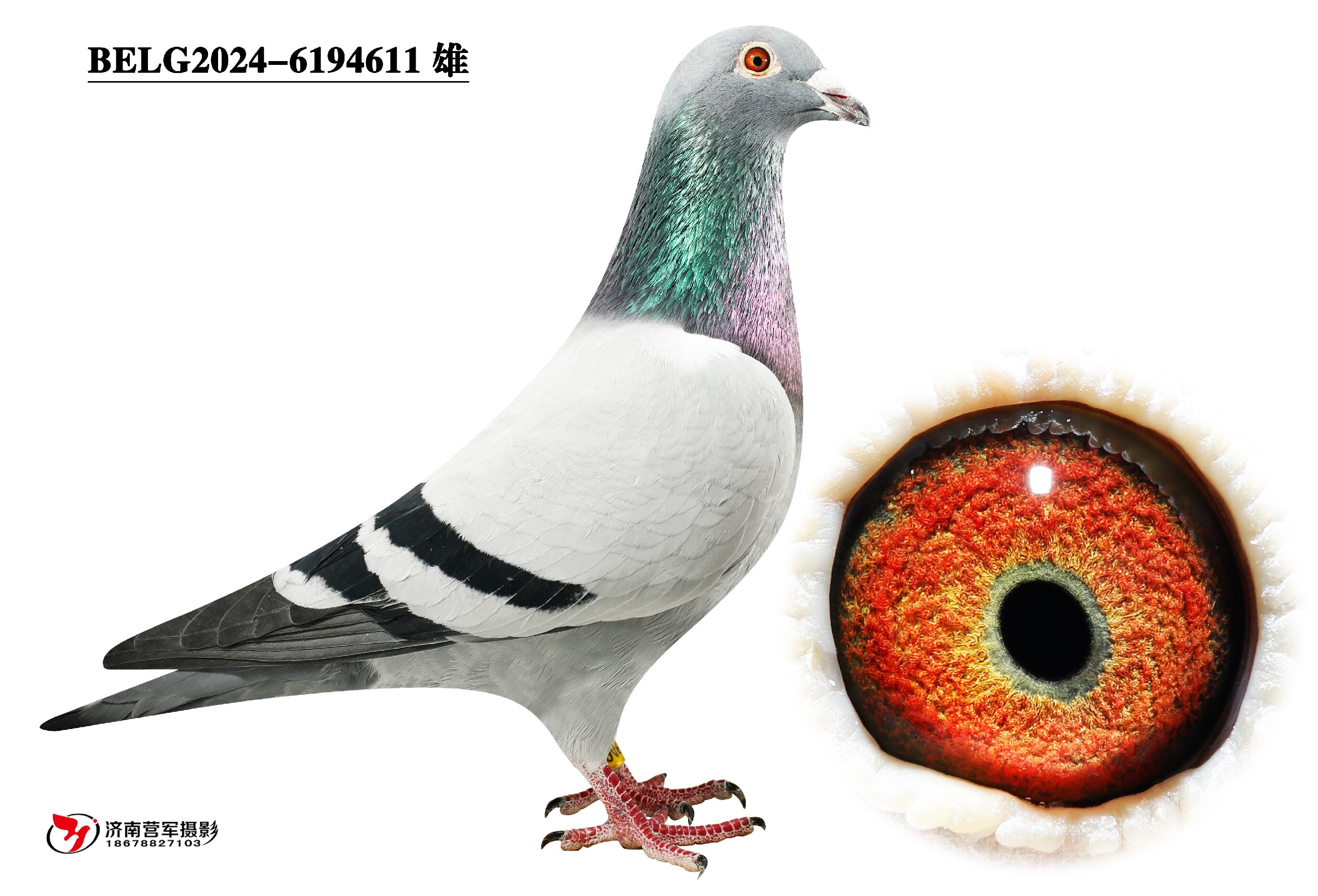 ���ǡ�������