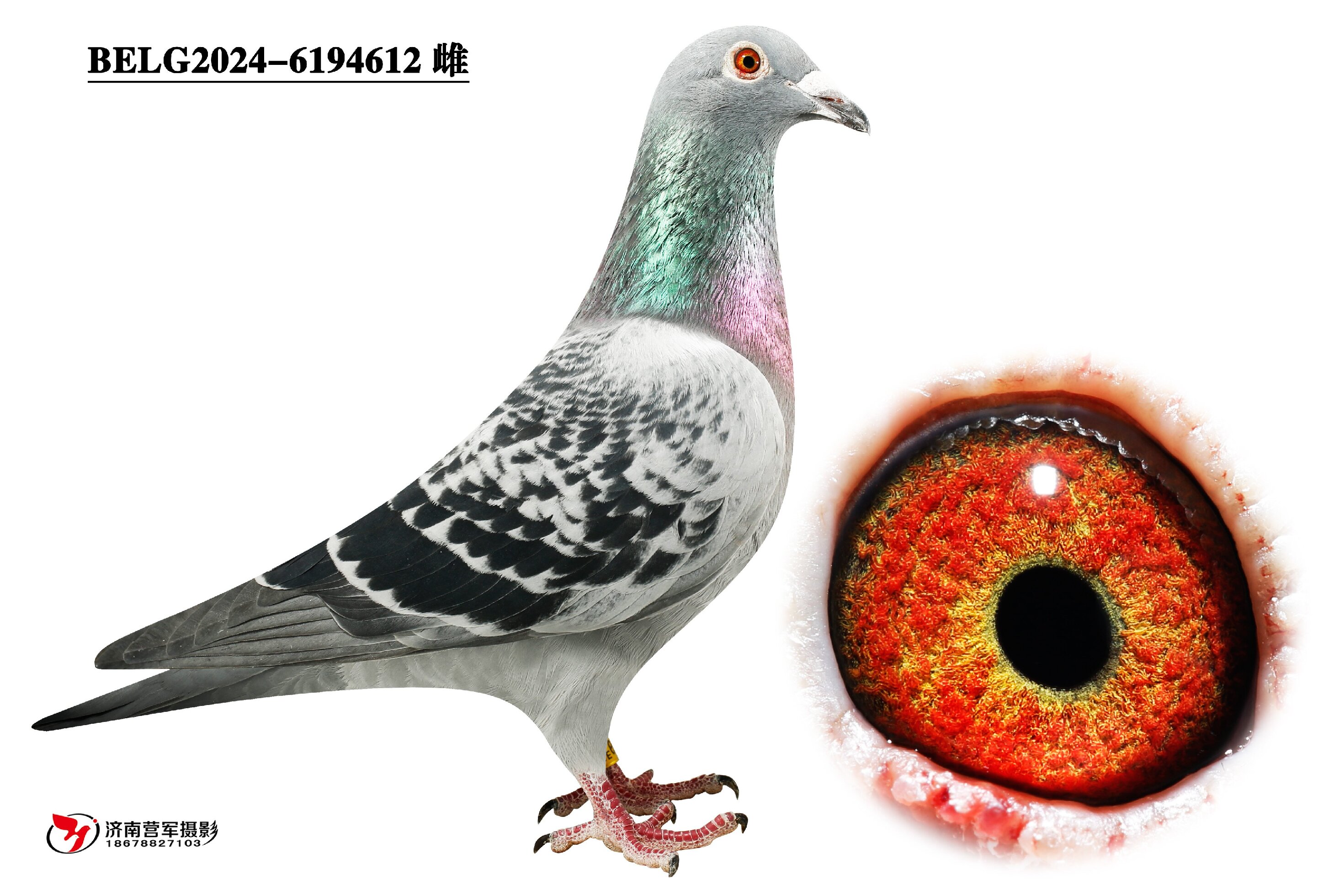 ���ǡ�������