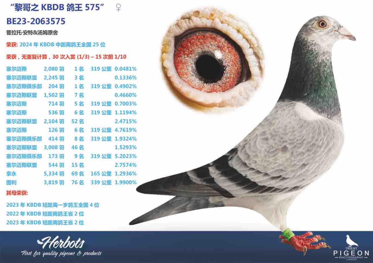 ���֮KBDB����575