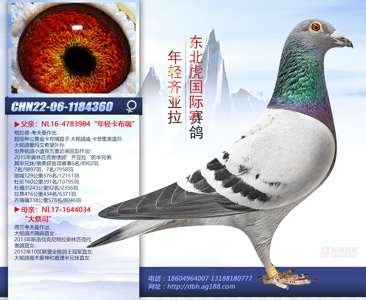 ���p�R����