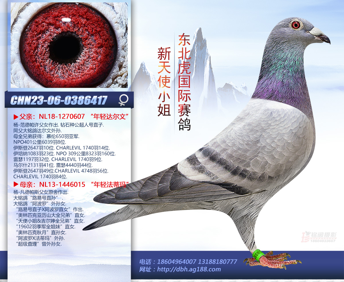 ����ʹС��