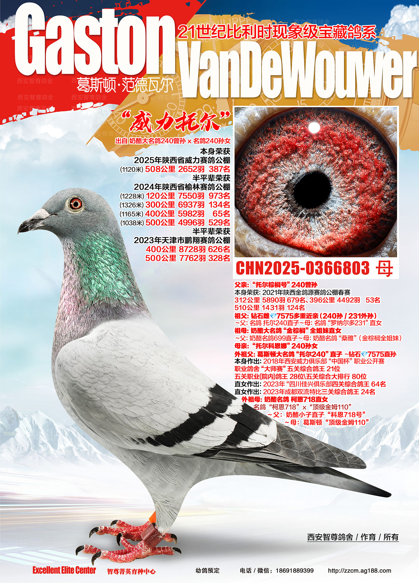 �����ж�