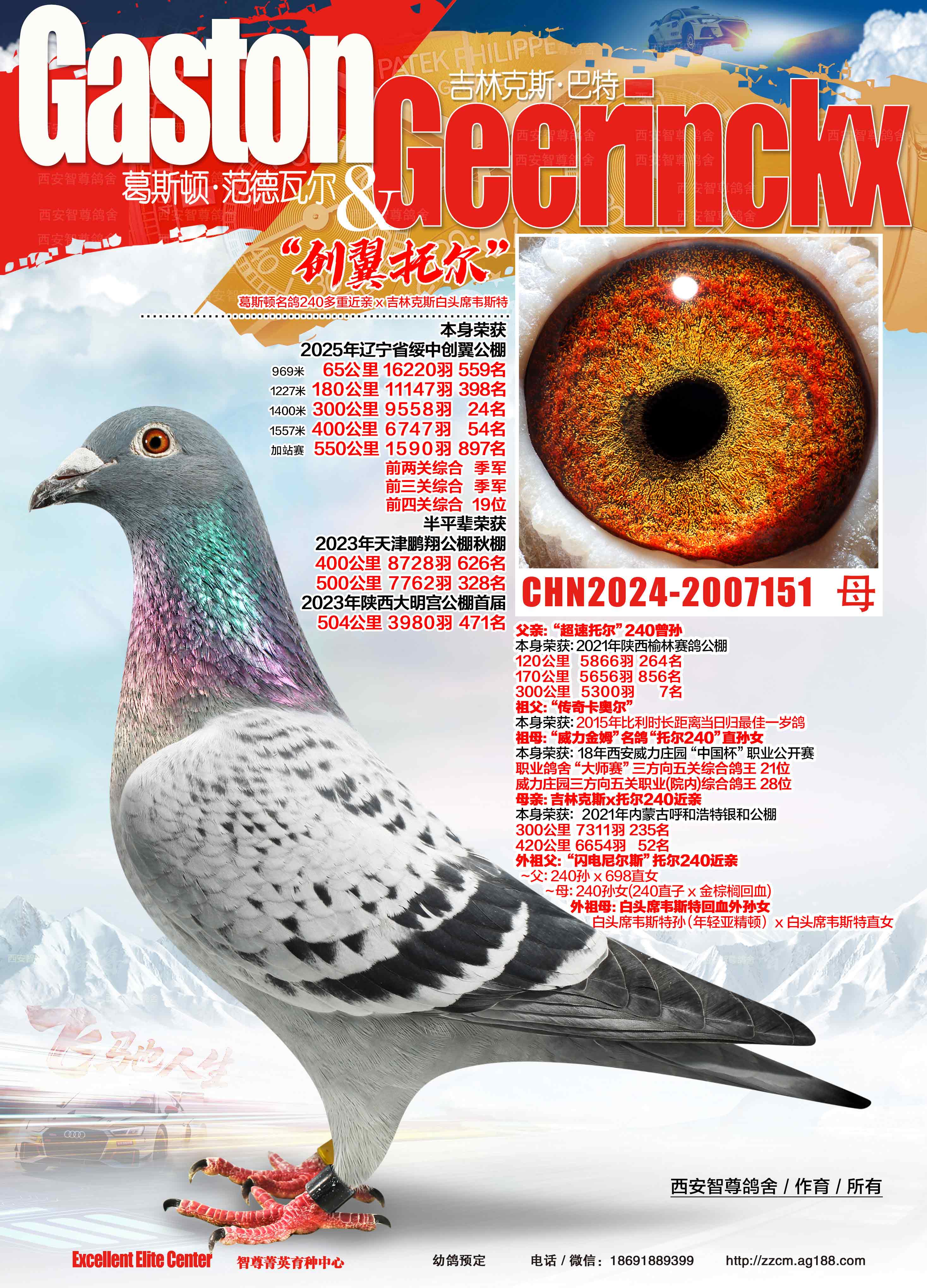 �����ж�