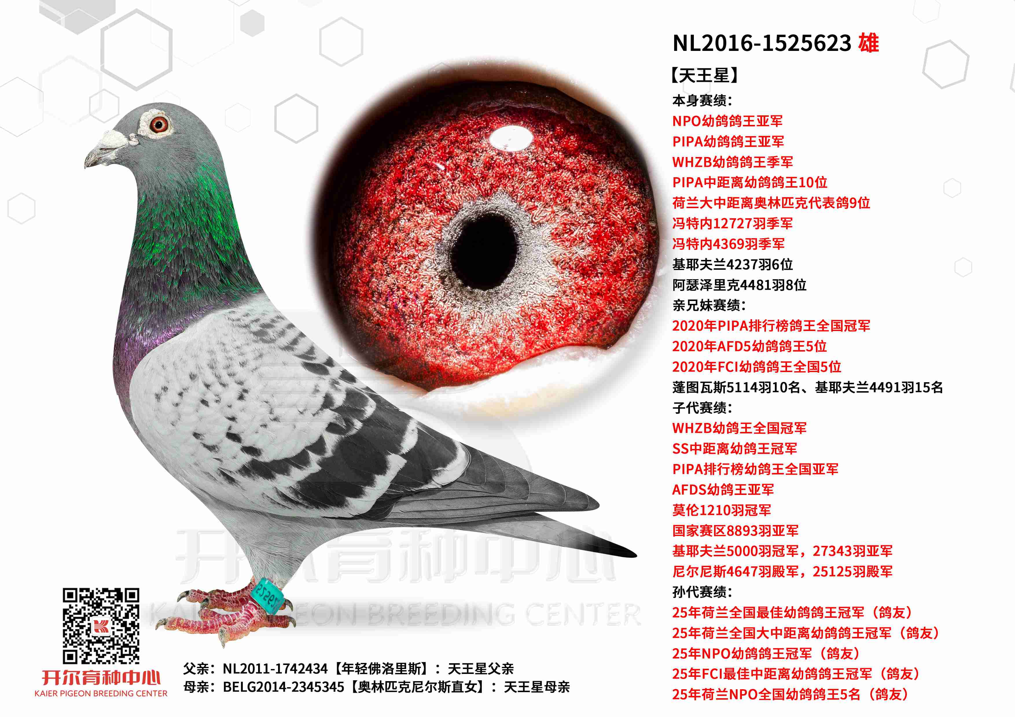 �������ǡ�NPO�����Ǿ�