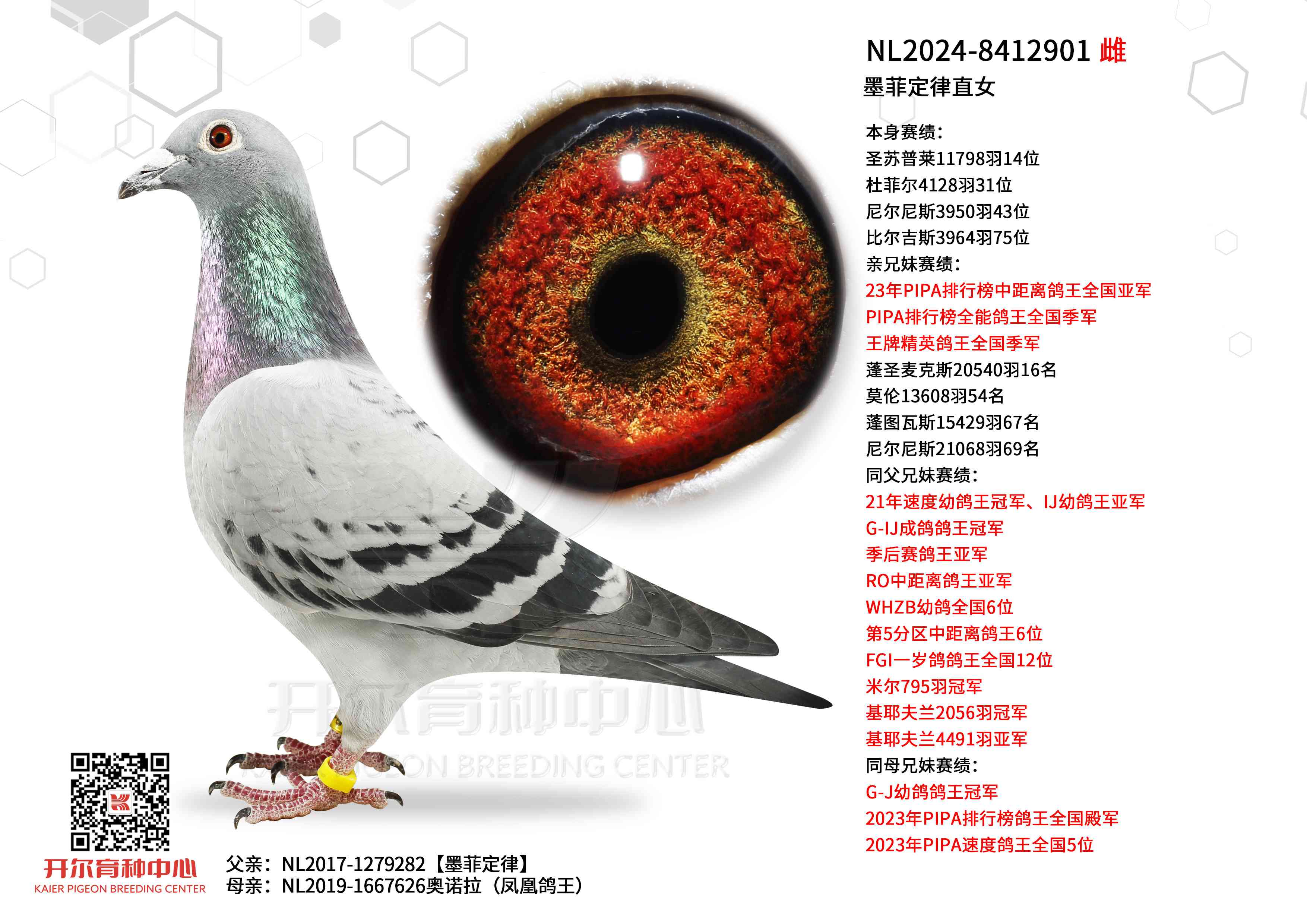 ī�ƶ���ֱŮ