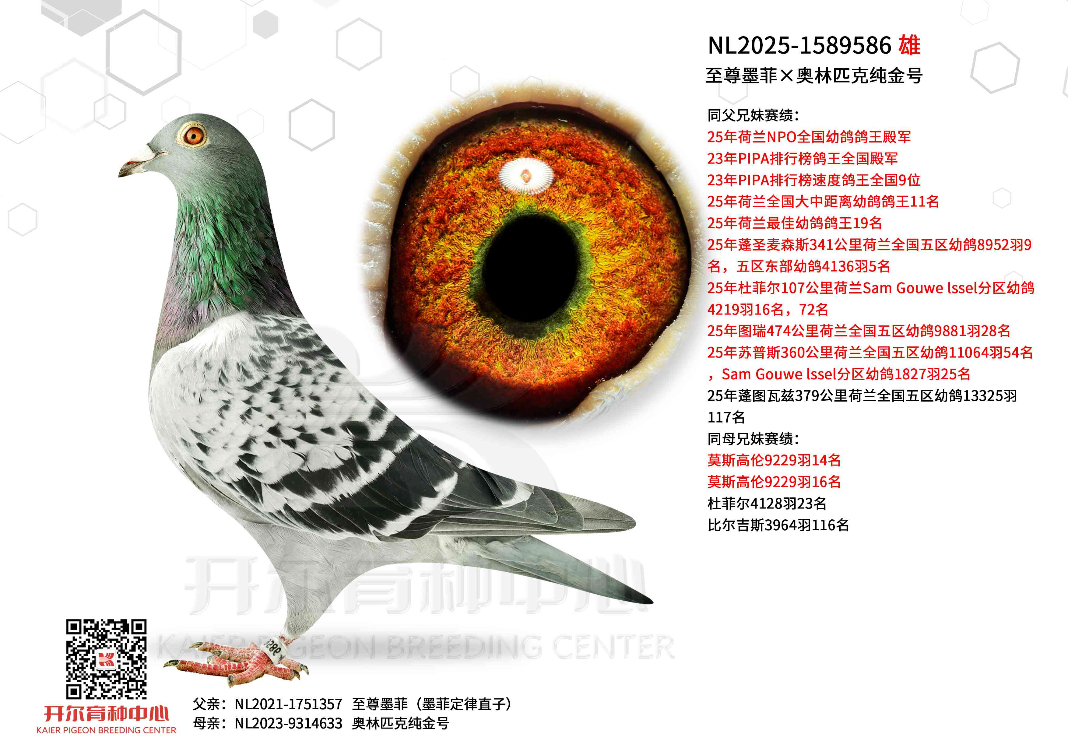 ������ī�ơ�����ƥ�˴���š�ī��ֱ��