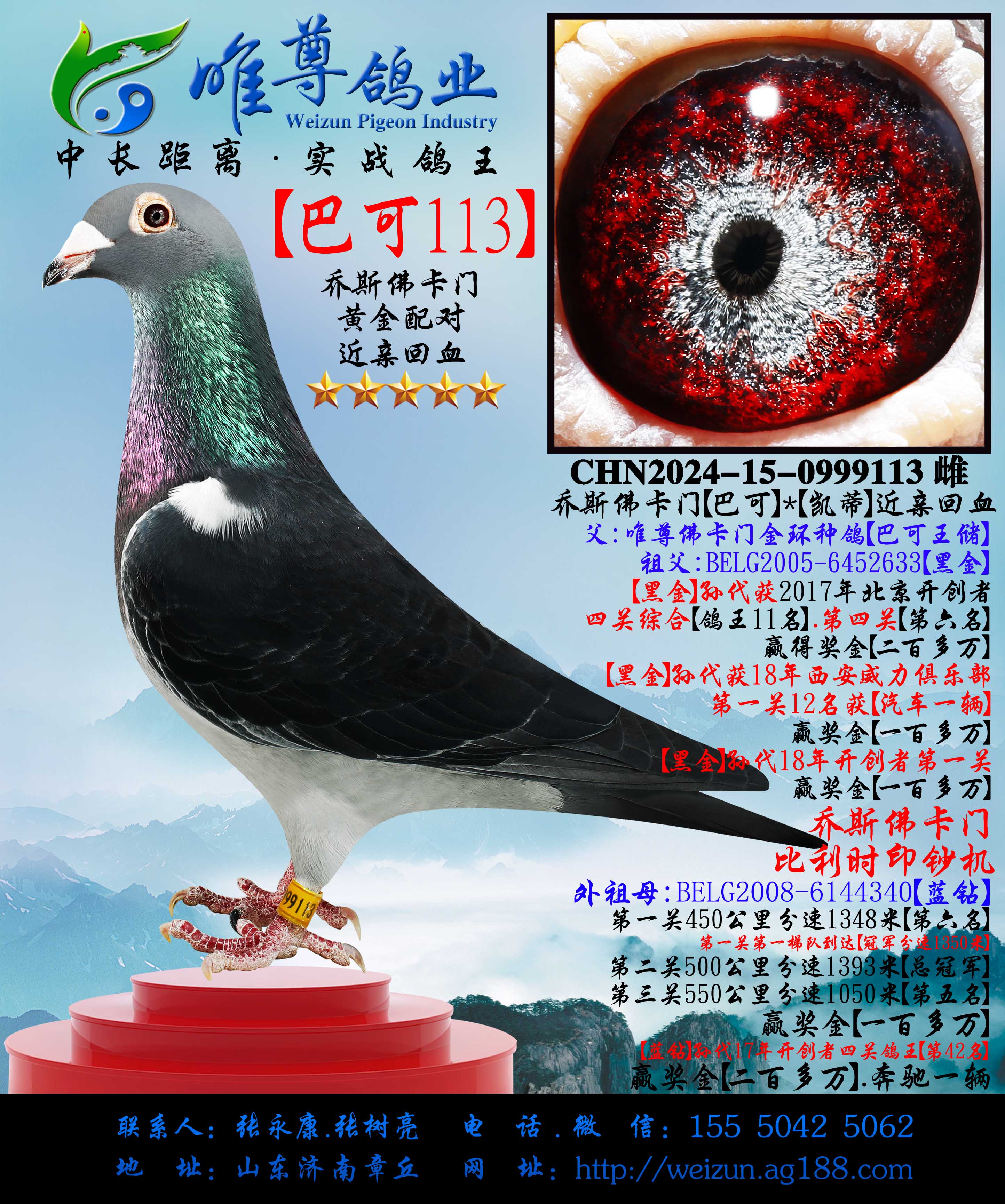 ����˹���š��Ϳ�113