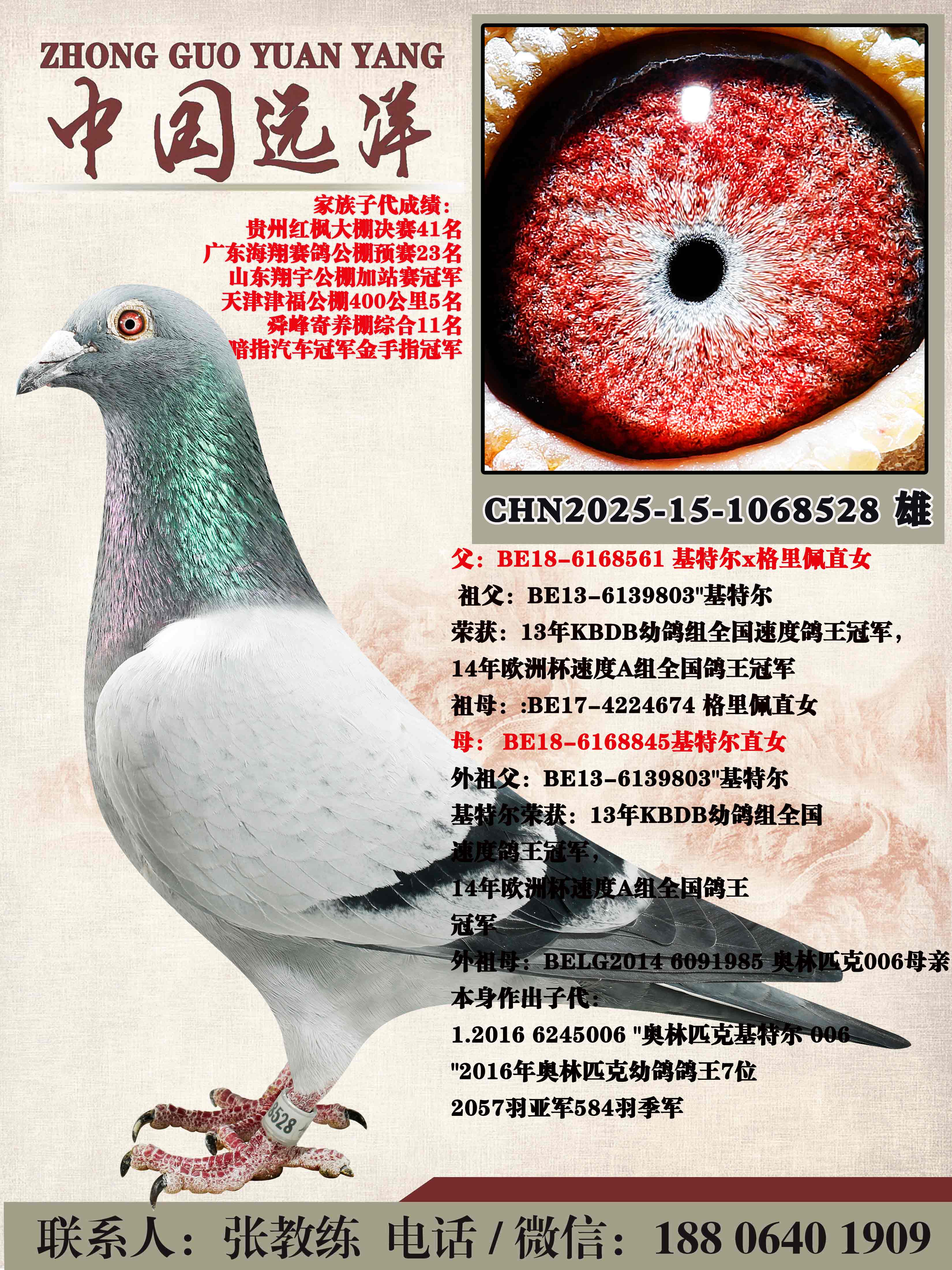 ���ض�ֱ��x���ض�ֱŮ