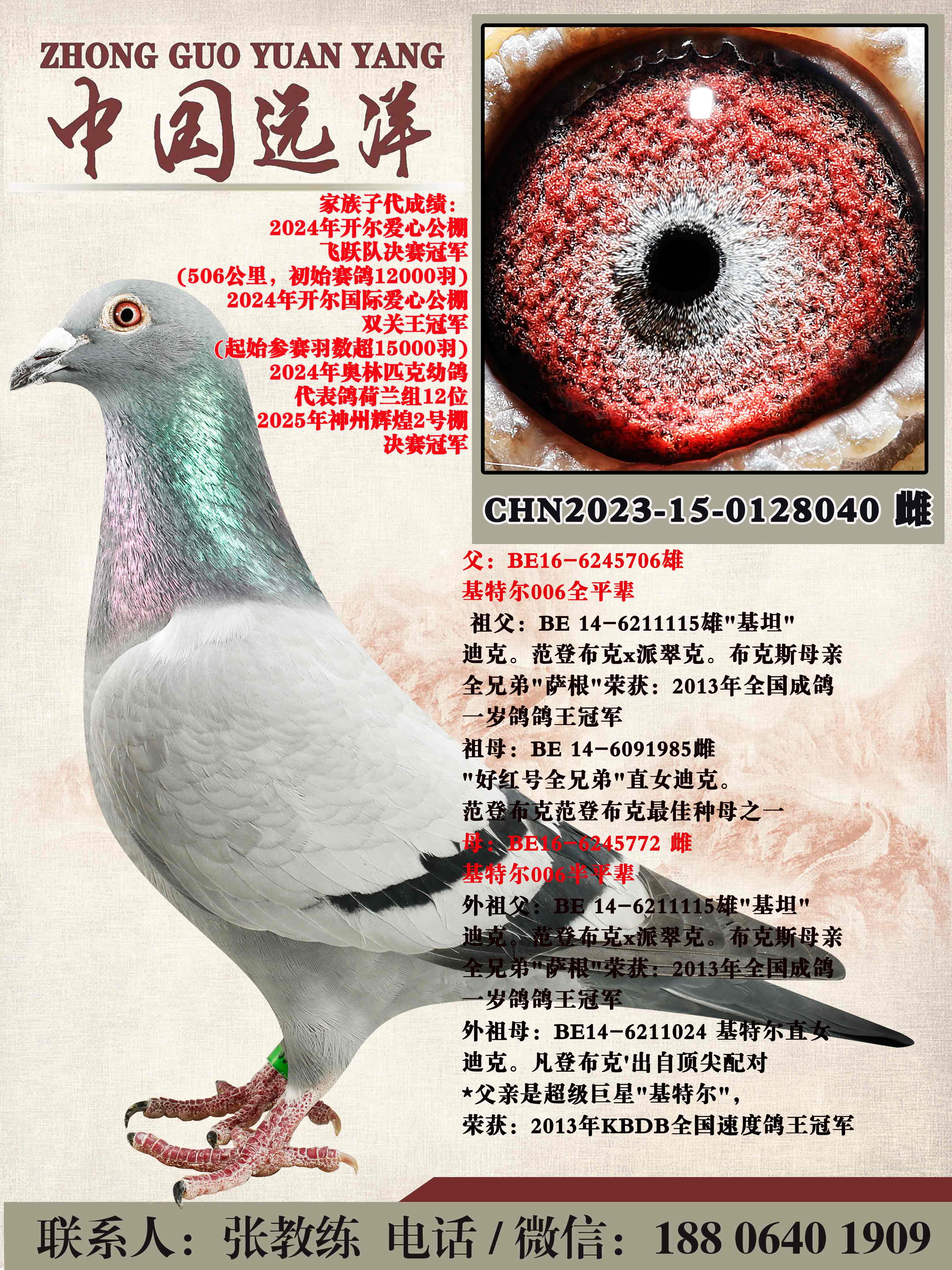 ���ض�006ȫƽ������