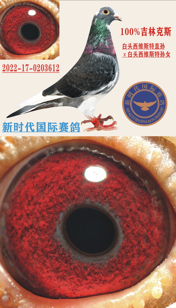 ���ֿ�˹����ͷϯά˹�ء�˫�ؽ���