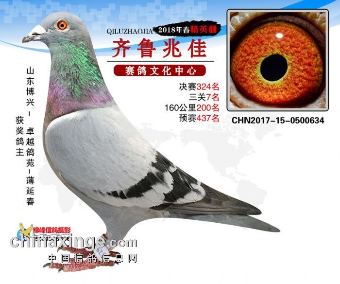 �׼�����7��