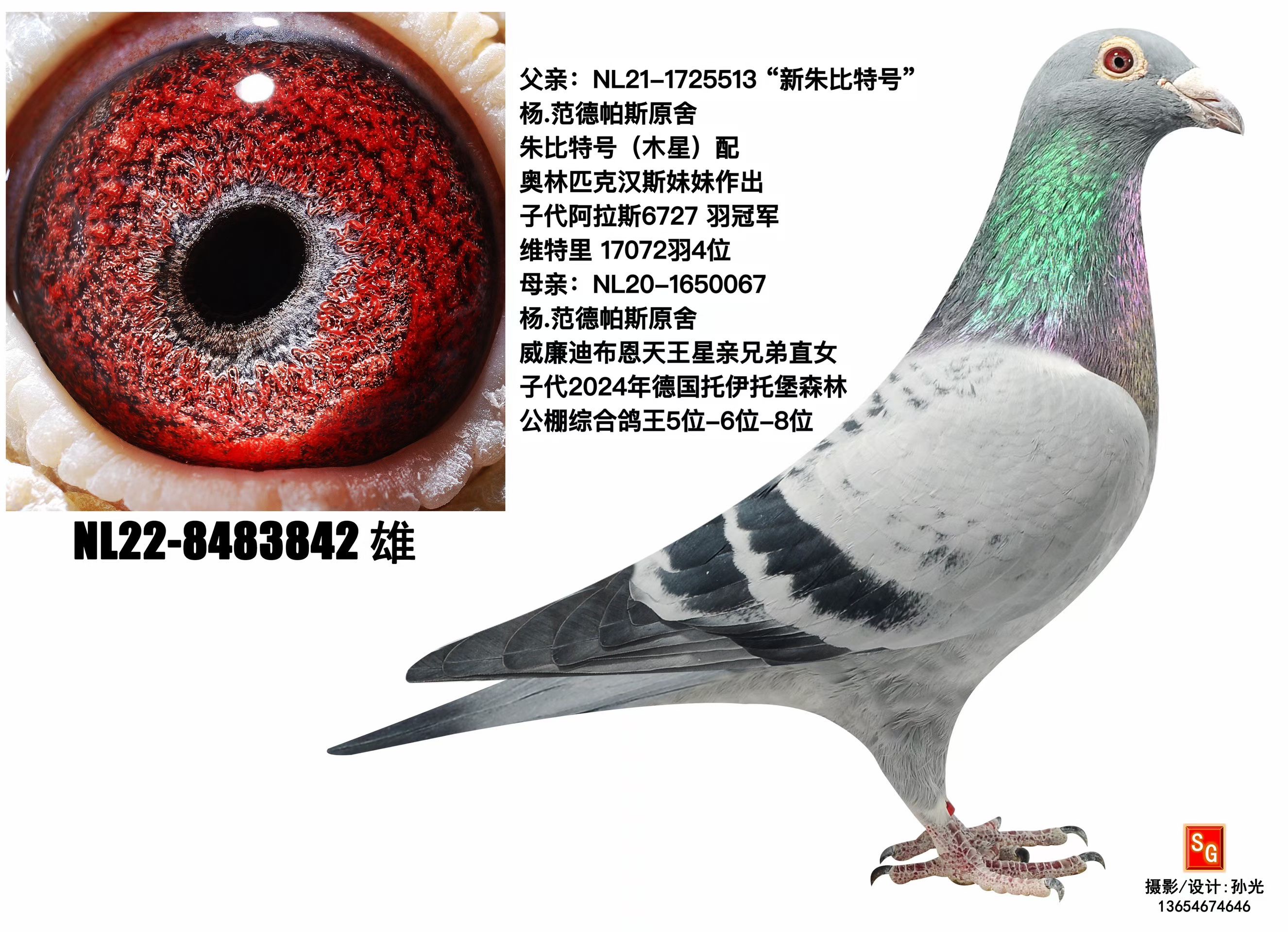 �������ֱ̖��