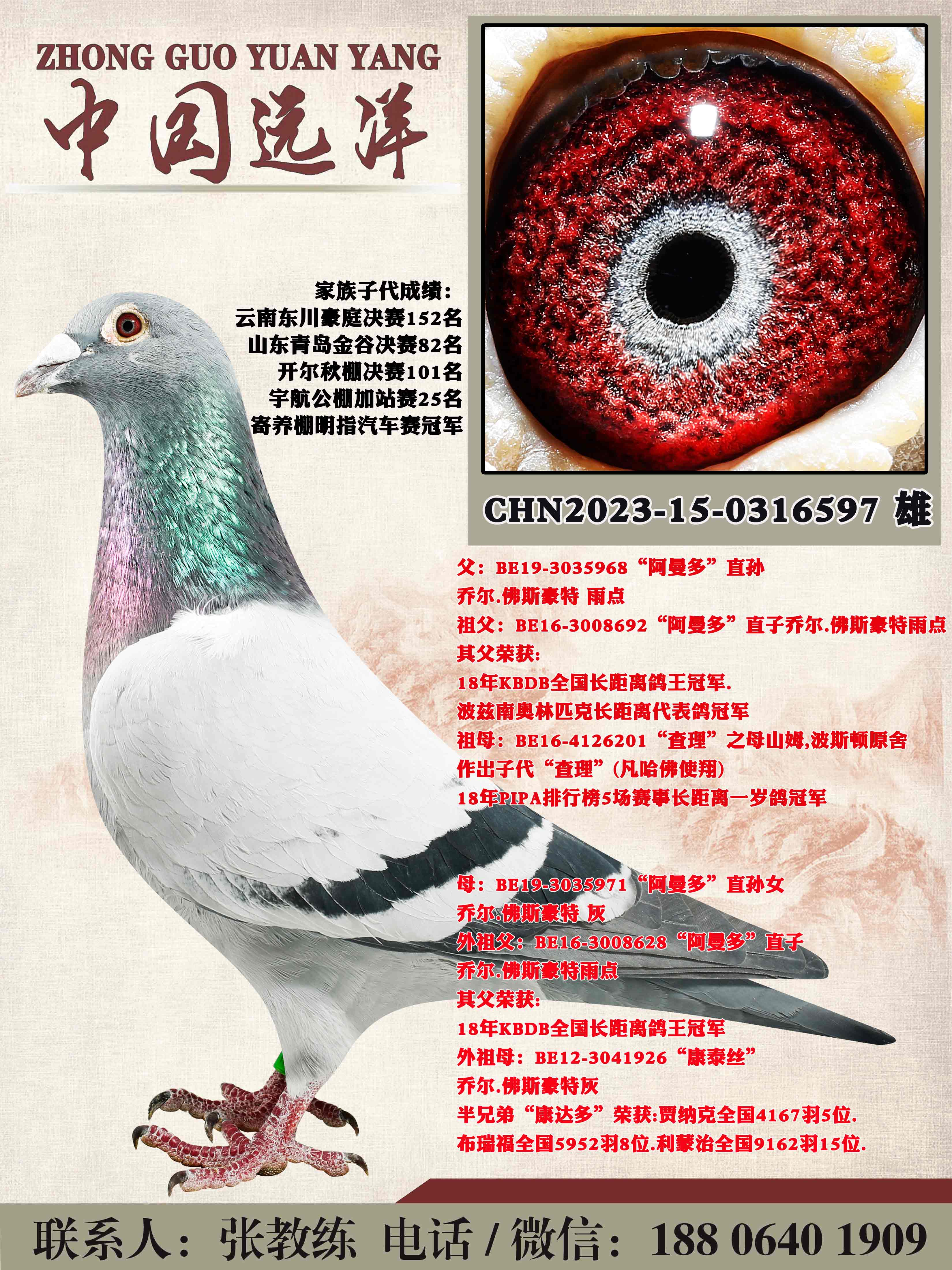 ������ֱ��x������ֱ��Ů