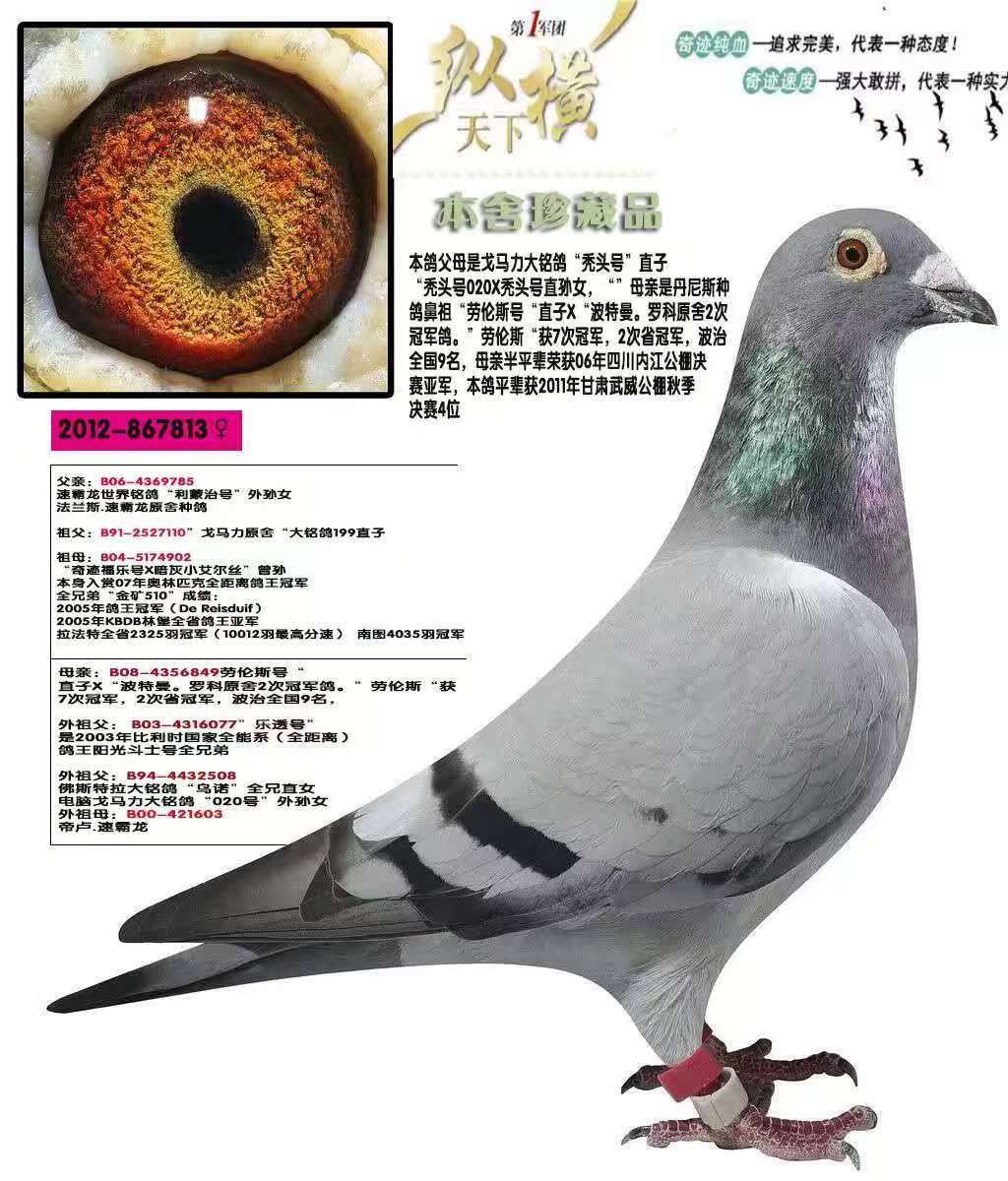 ����ͺͷ����