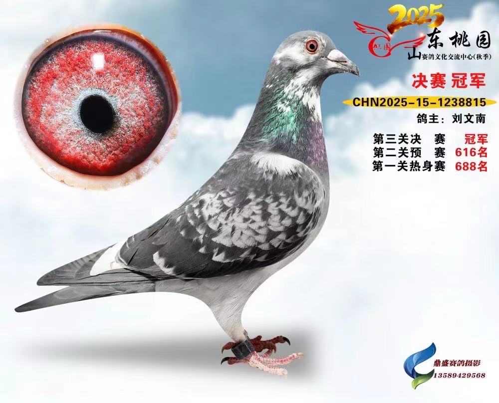 �λ�����