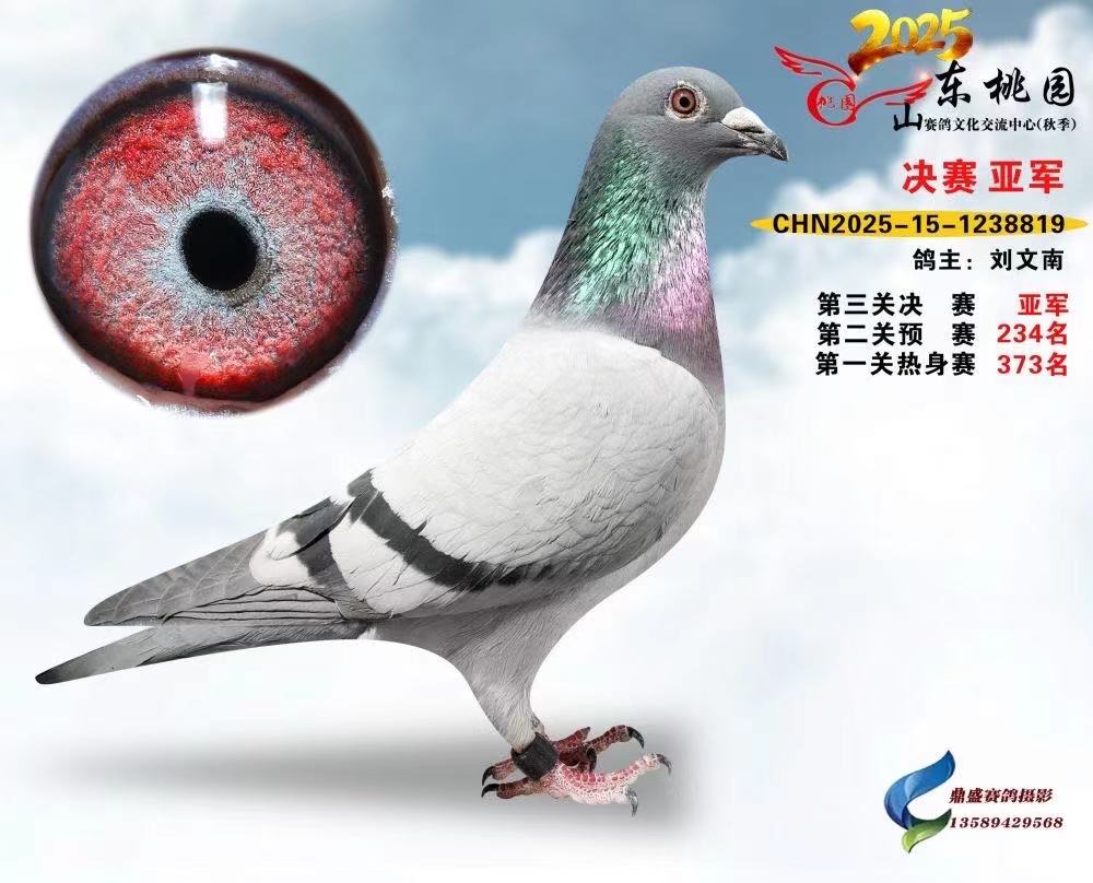 �λ�����