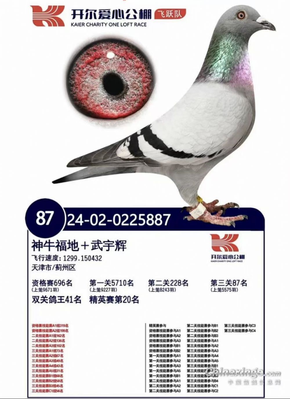 �������Ĺ����Ծ��87��