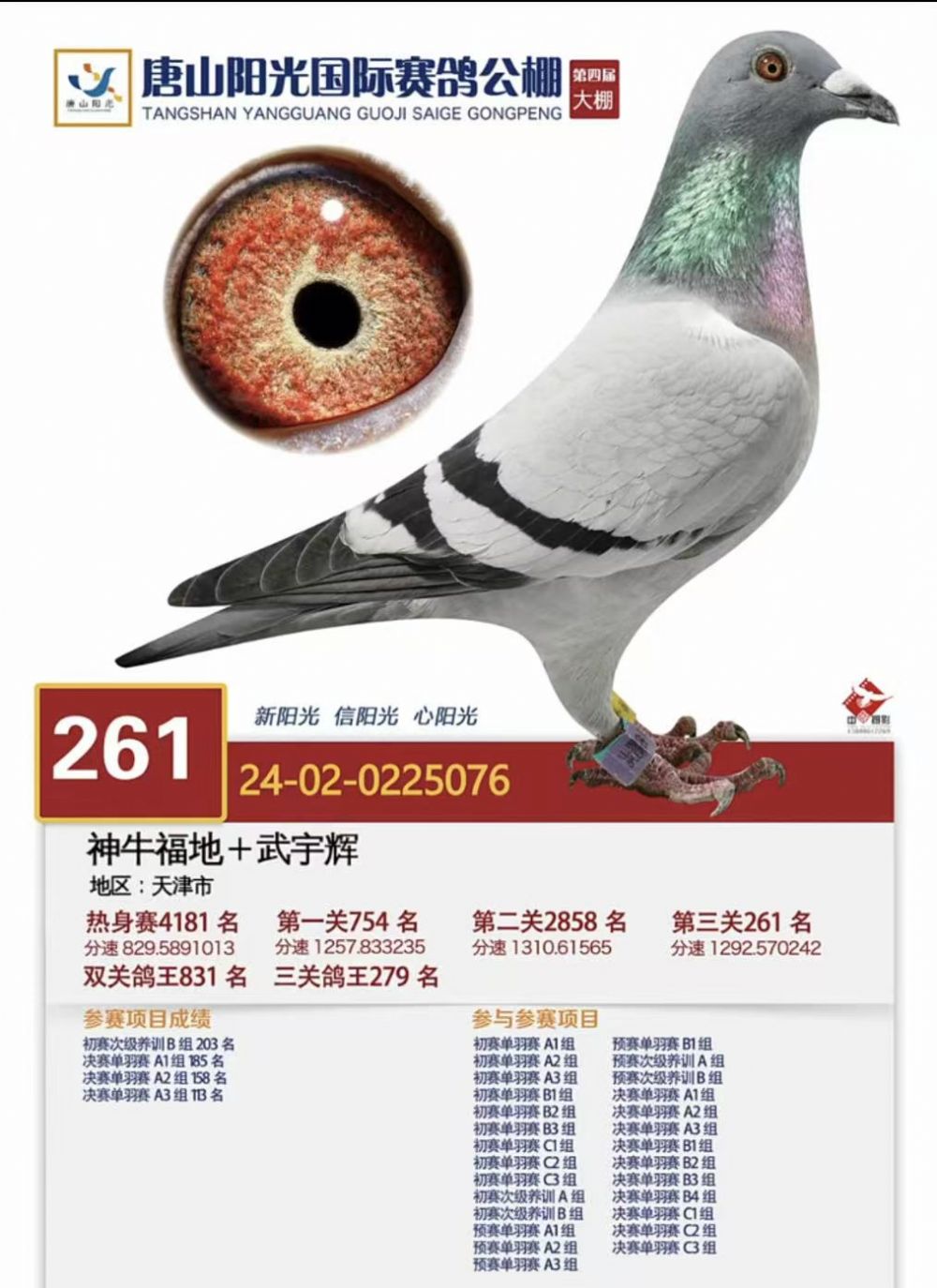 ��ɽ����������261��